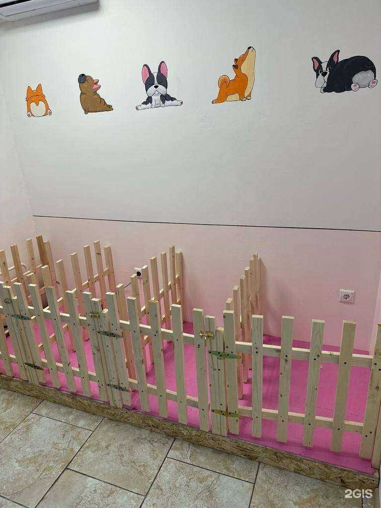 Отзывы на компанию Катрингрум в г. Ростов-на-Дону c фото