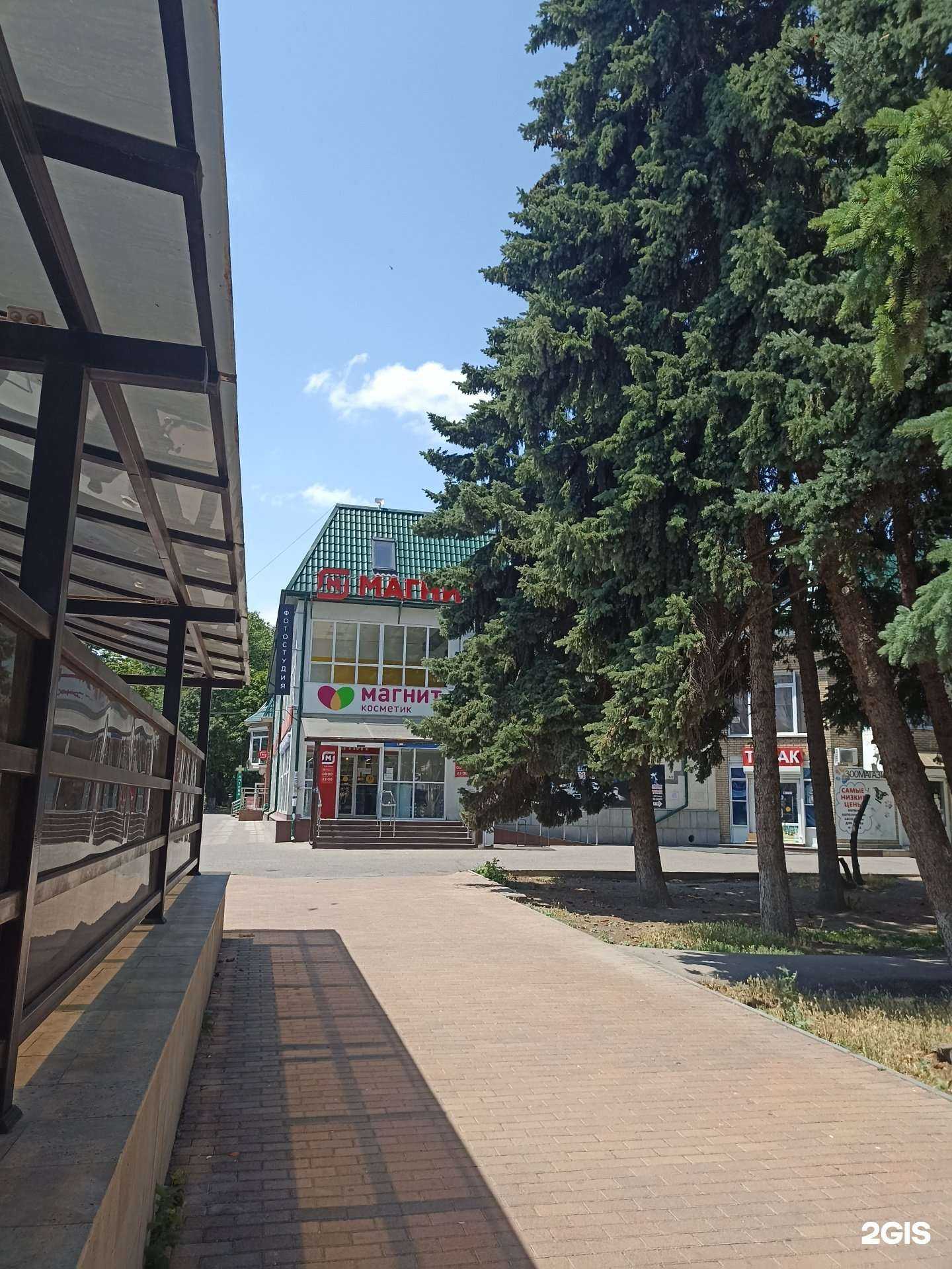 Отзывы на компанию Цветариум в Ессентуках c фото - фотография 2 из 2