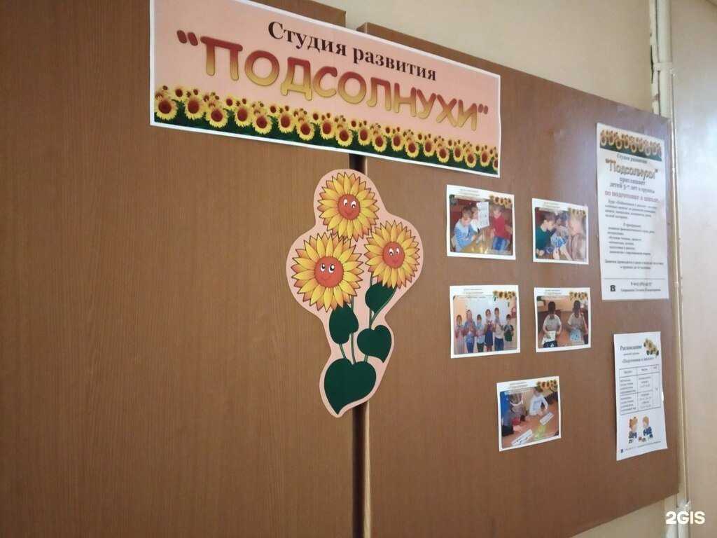 Отзывы на компанию Подсолнухи в г. Саратов c фото