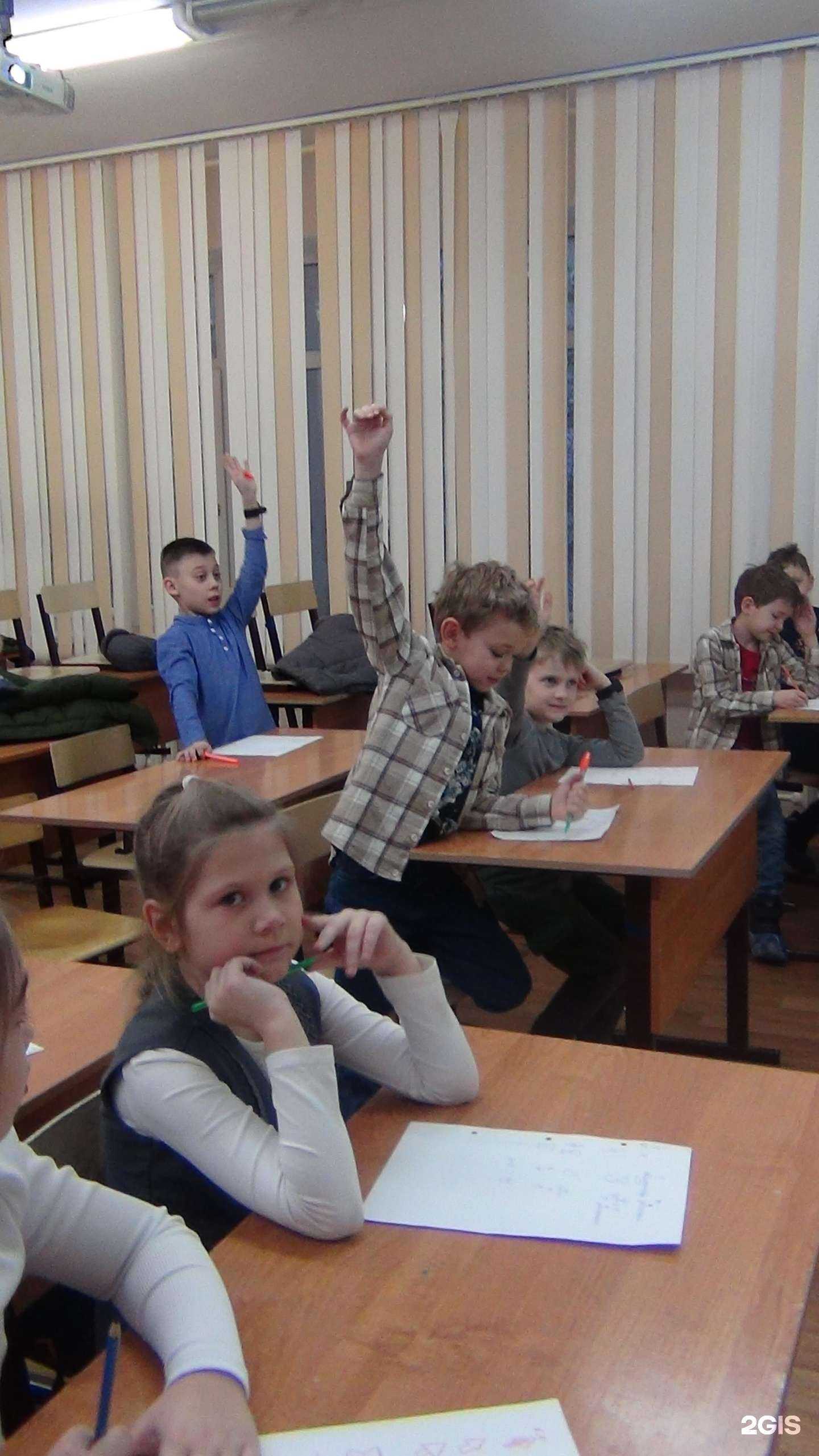 Отзывы на компанию Программист в Хабаровске c фото