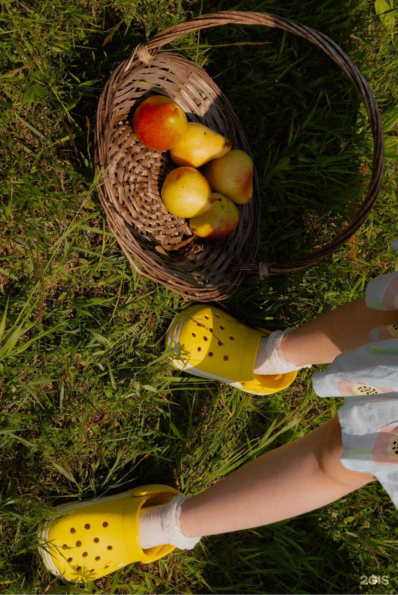 Отзывы на компанию Saboo в Иркутске c фото