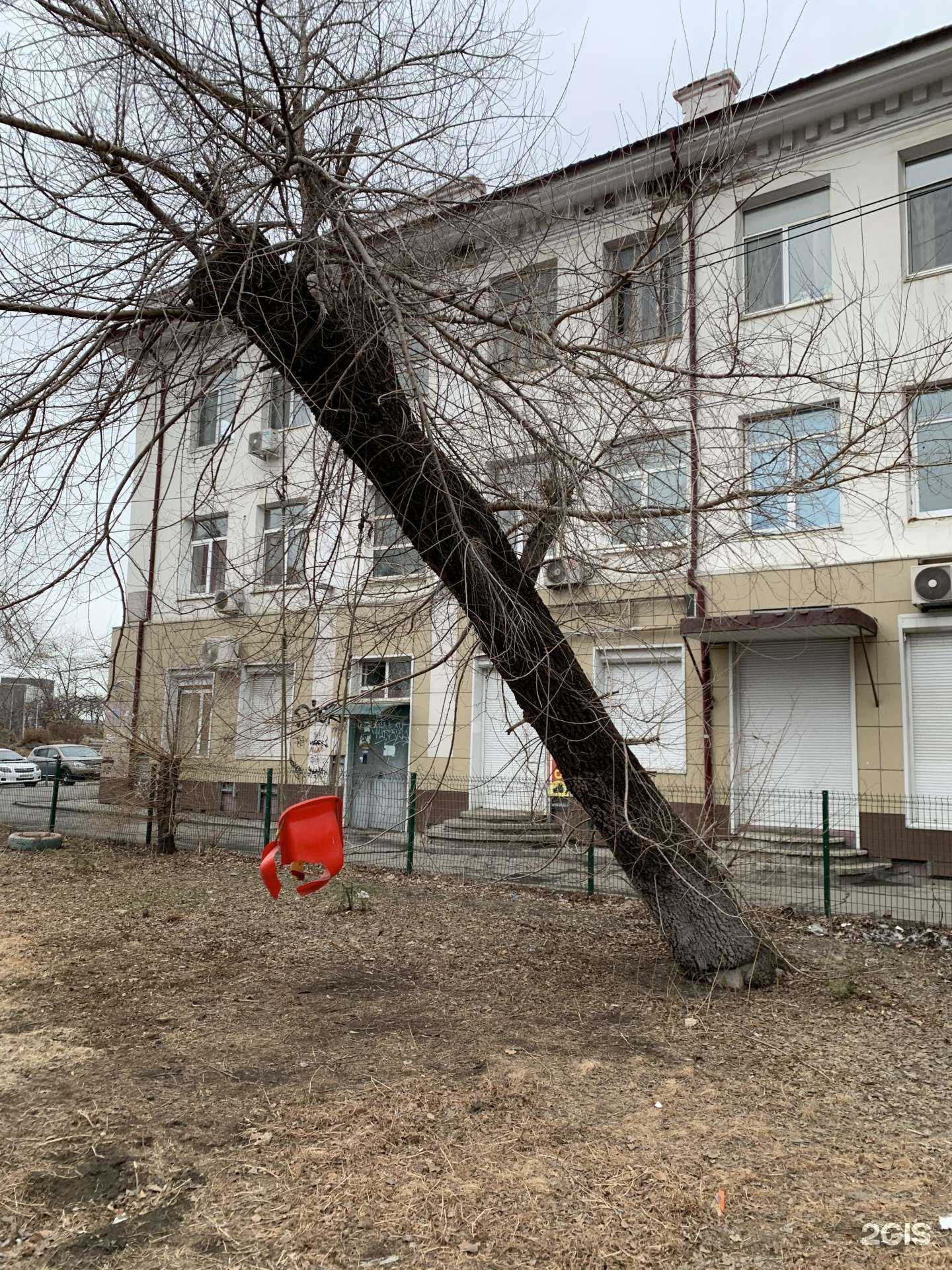 Отзывы на компанию Влад-Фото в Владивостоке c фото - фотография 2 из 2