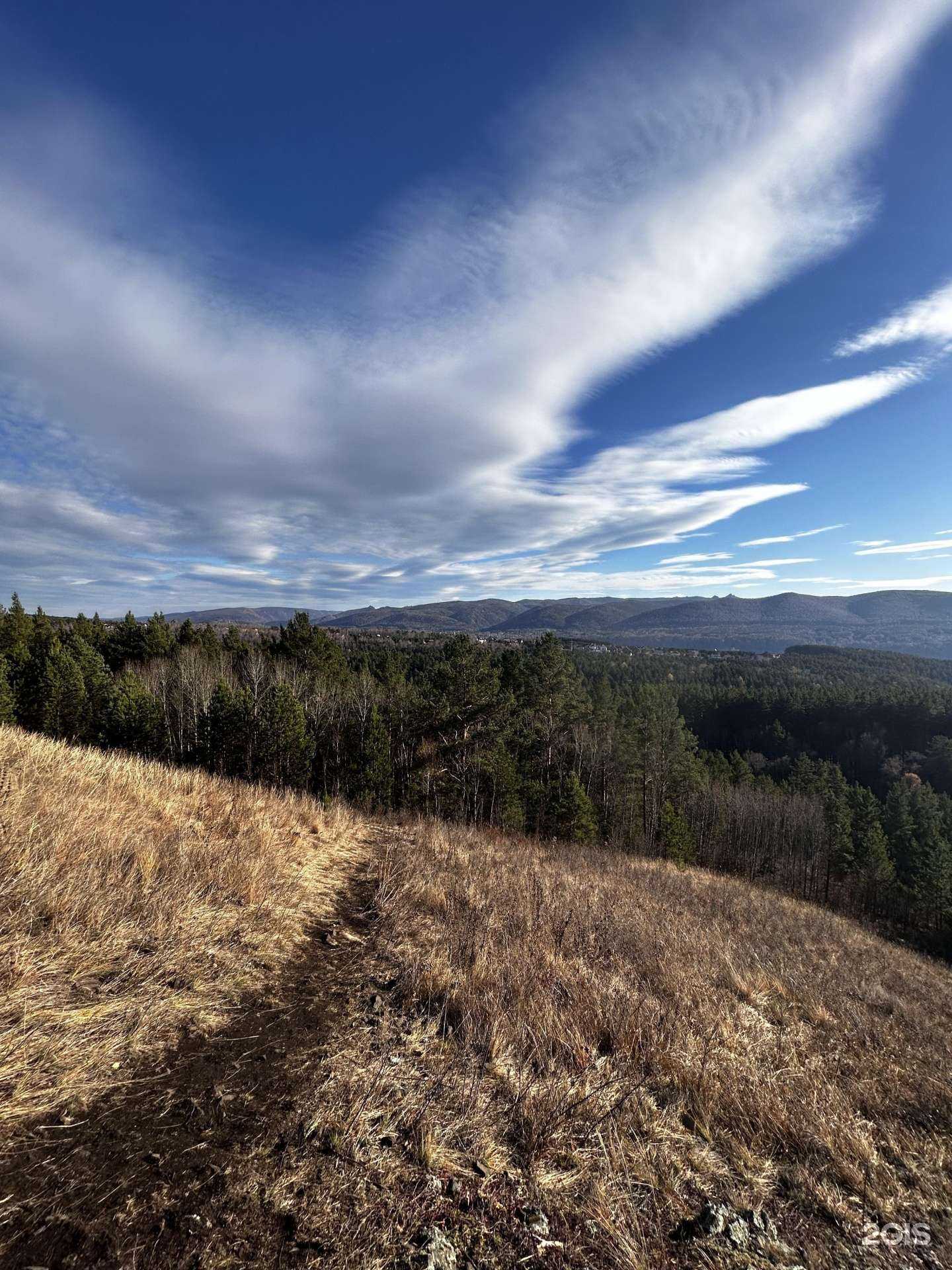 Отзывы на компанию Серебряный лог  в Красноярске c фото