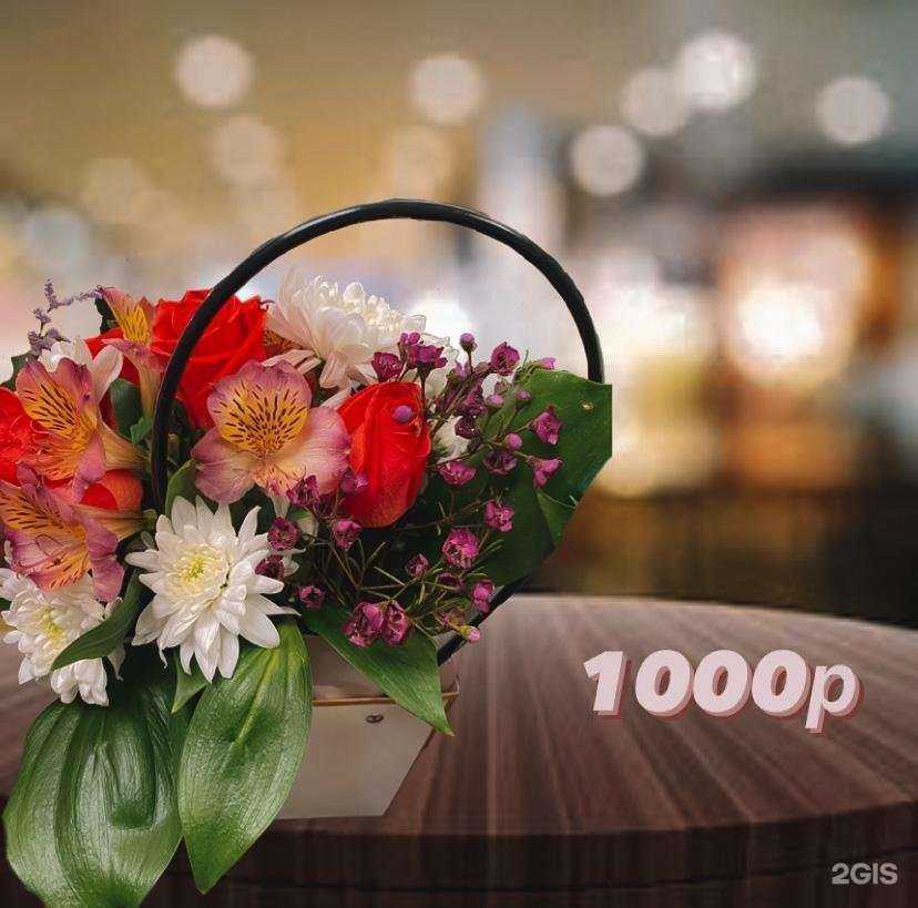 Отзывы на компанию Nirvana в Воронеже c фото