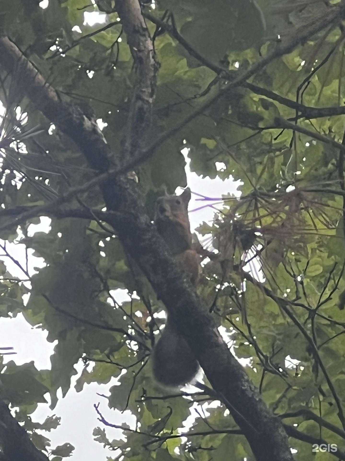 Отзывы на компанию Алекс м в Казани c фото