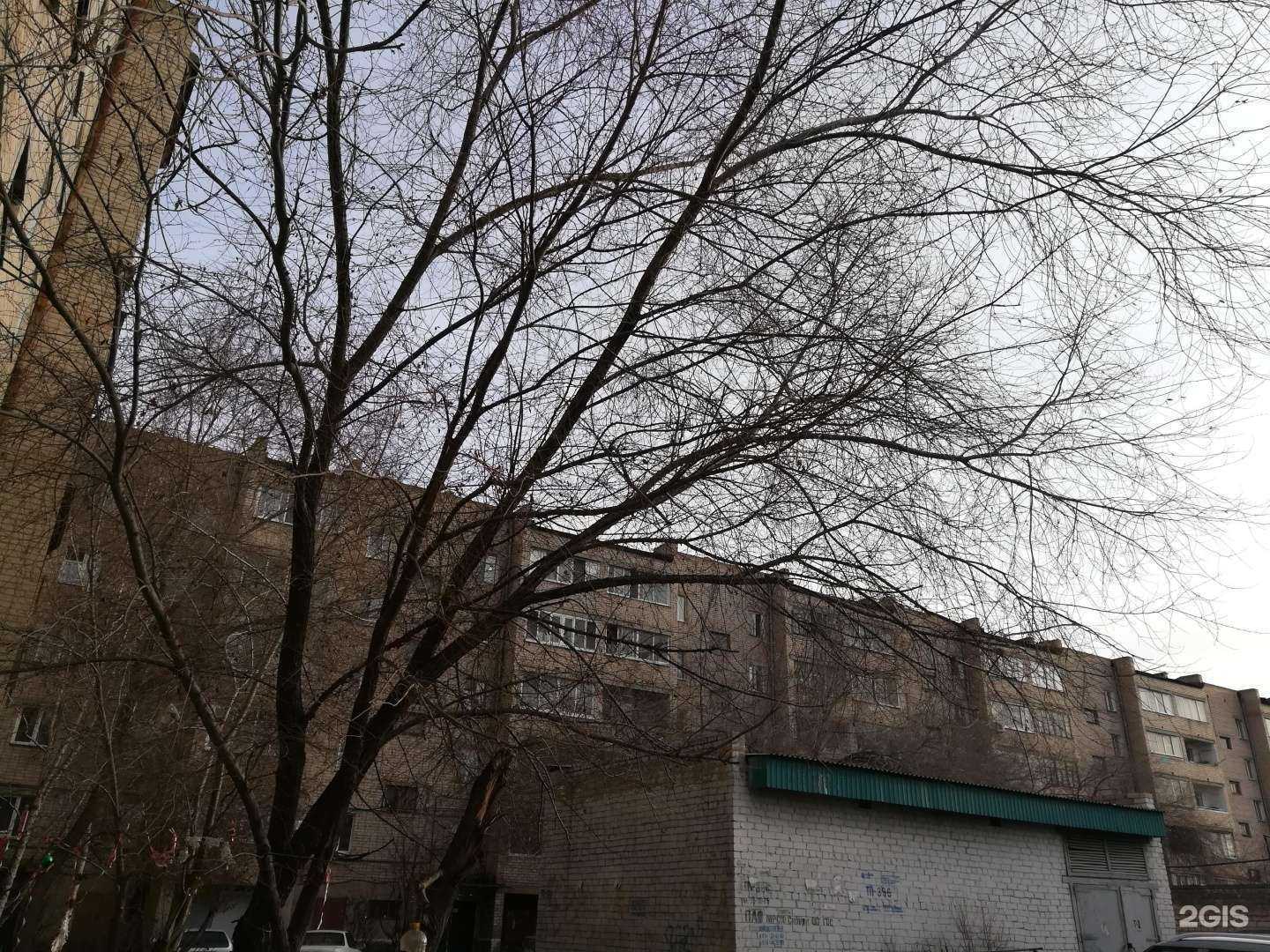 Отзывы на компанию Клининг Everest в Чите c фото - фотография 2 из 2