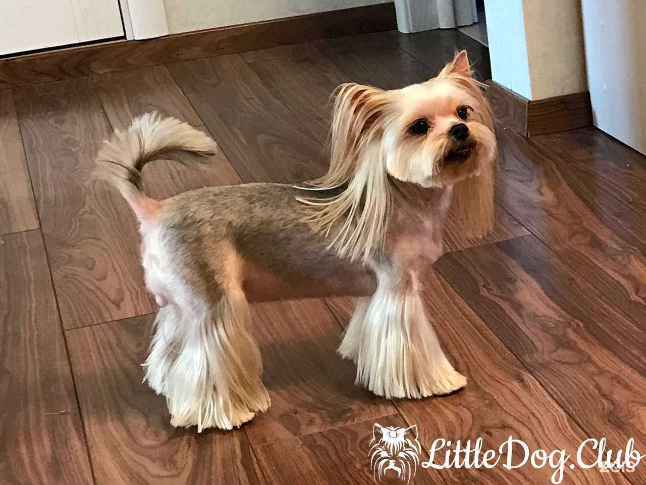 Отзывы на компанию Зоосалон в Коммунарке c фото