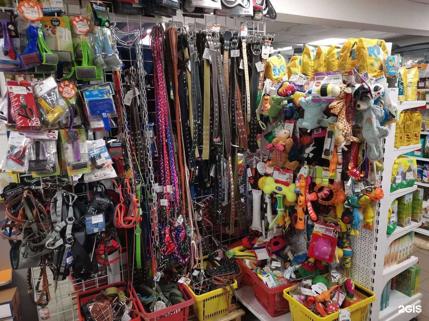 Отзывы на компанию Zooмирово в Рубцовске c фото