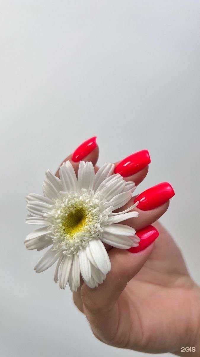 Отзывы на компанию S&K в Самаре c фото