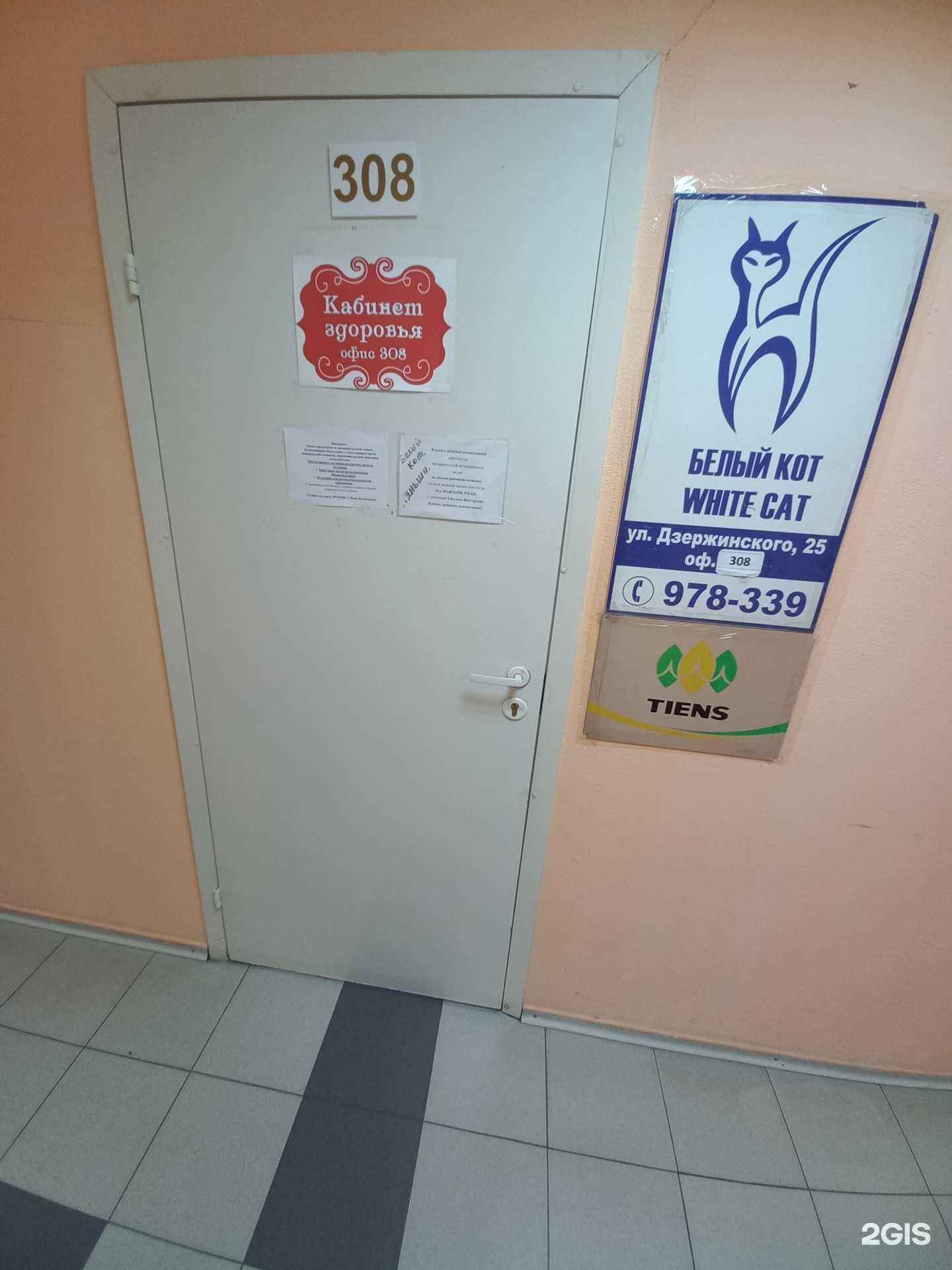 Отзывы на компанию Белый кот в г. Иркутск c фото