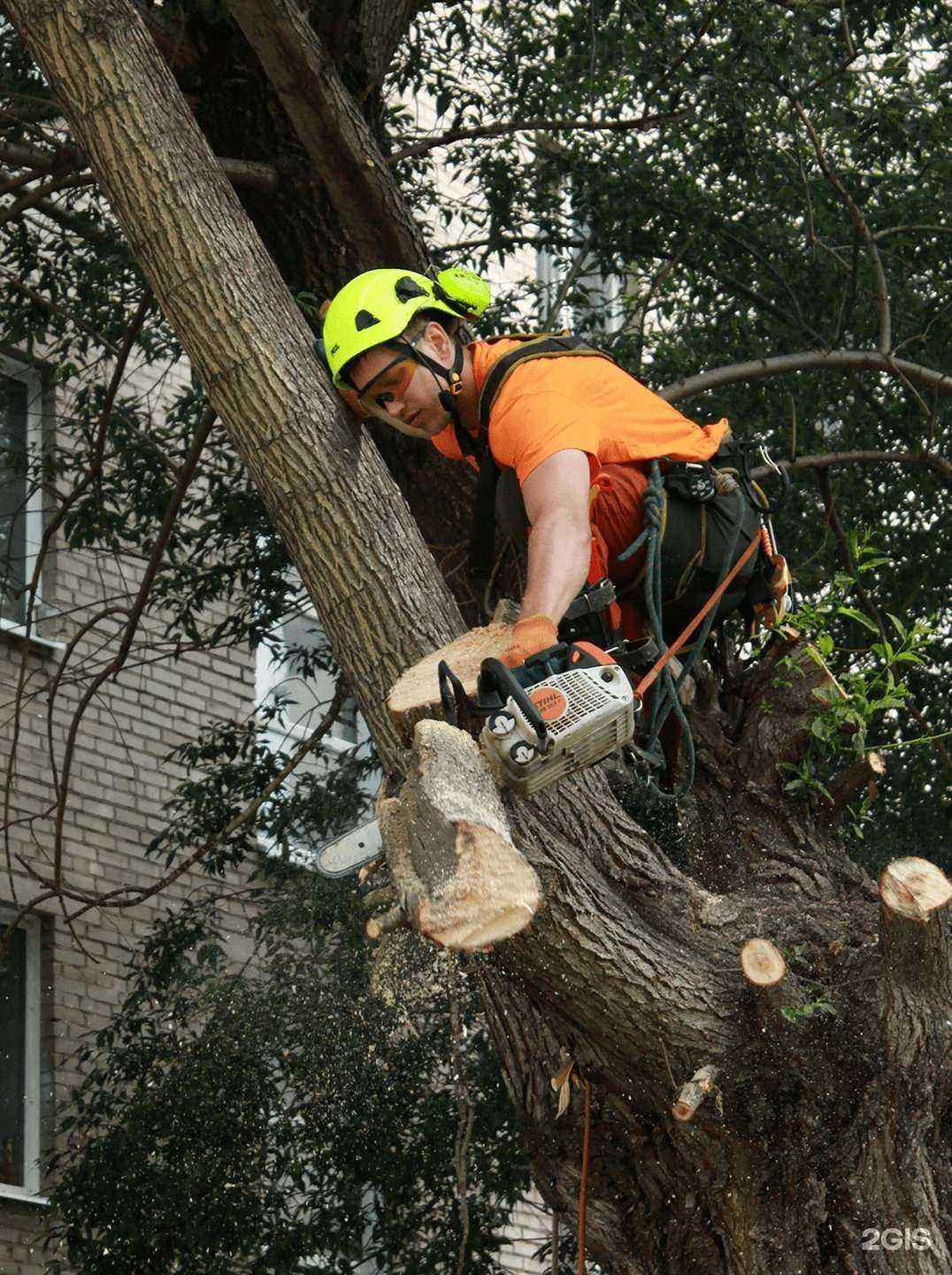 Отзывы на компанию АрбоТомск в г. Томск c фото