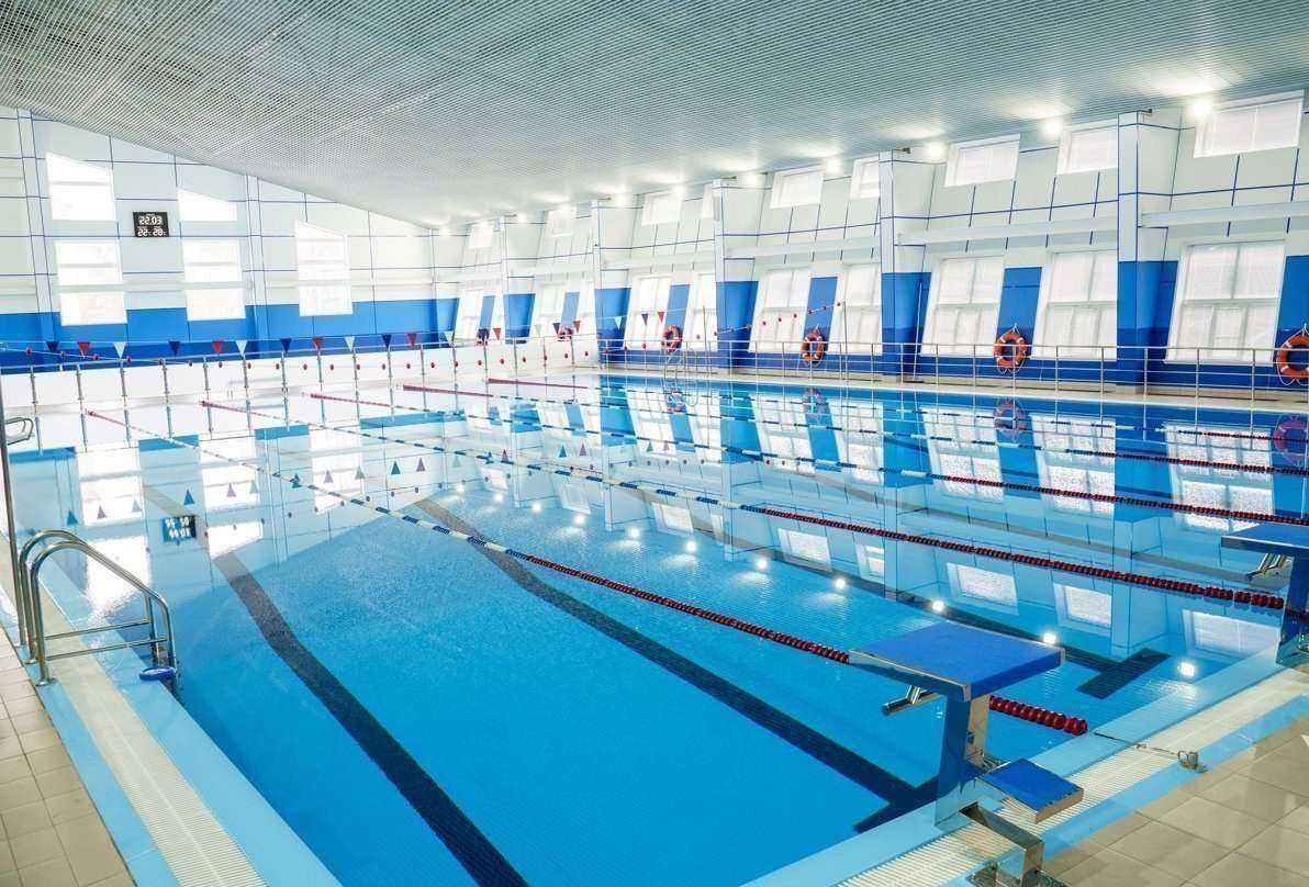 Отзывы на компанию Плавательный клуб Сибирь в Красноярске c фото