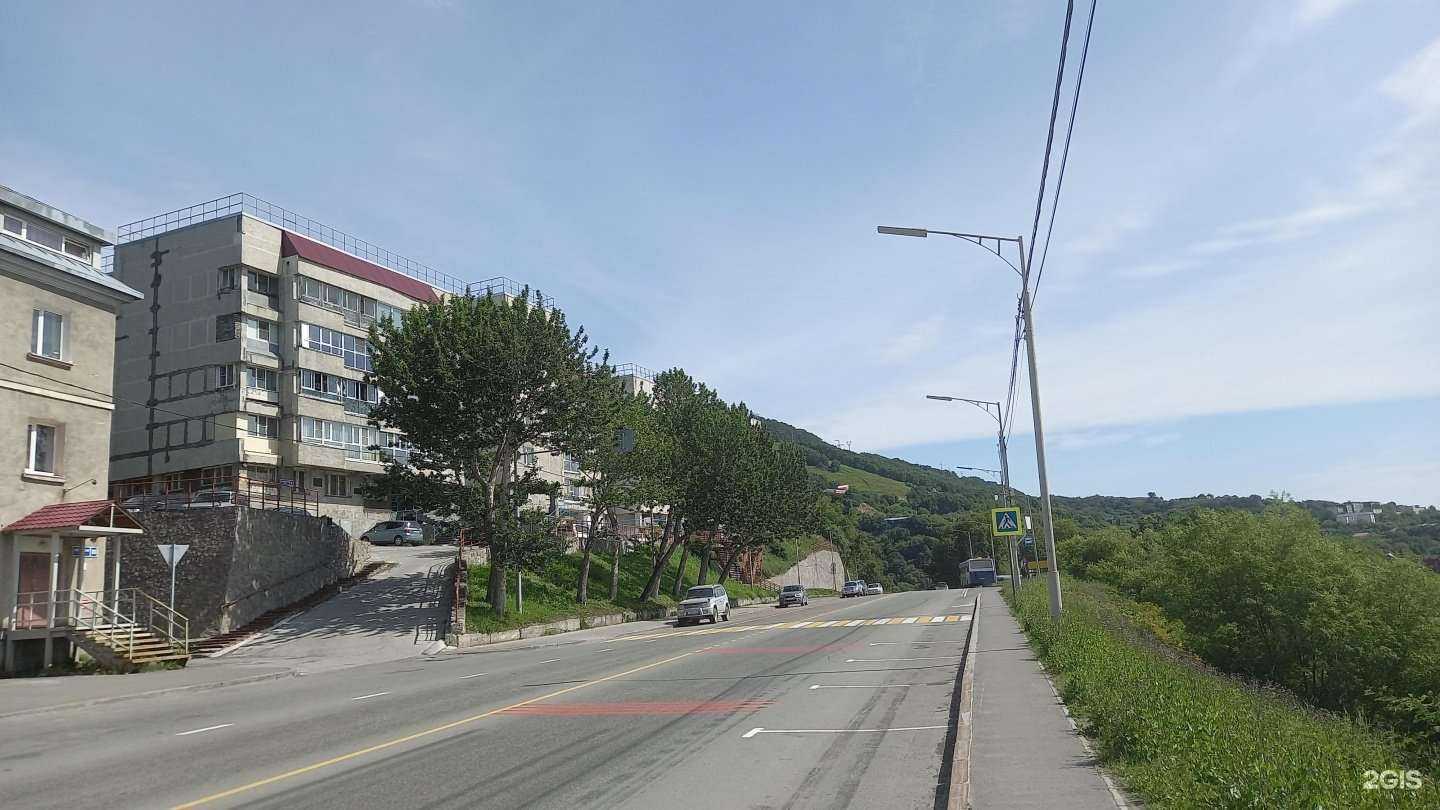 Отзывы на компанию Cat&Dog в Петропавловске-Камчатском c фото - фотография 2 из 2