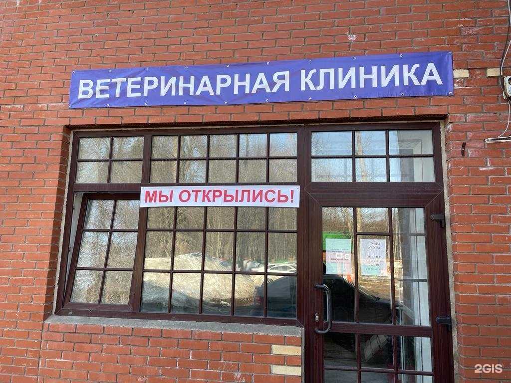 Отзывы на компанию Догфатер в Уфе c фото