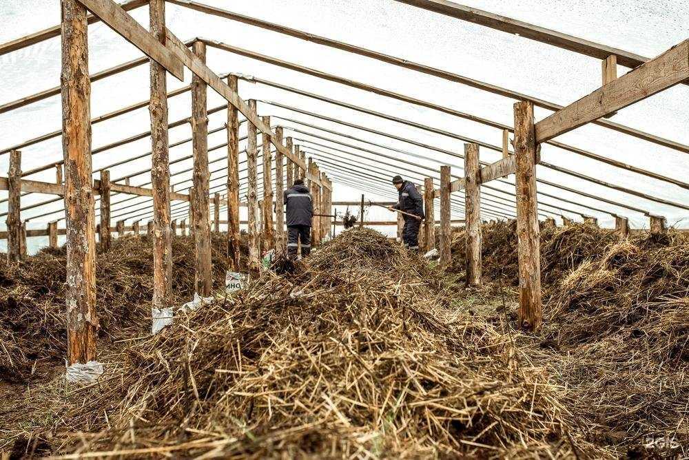 Отзывы на компанию Биогумус в г. Самара c фото