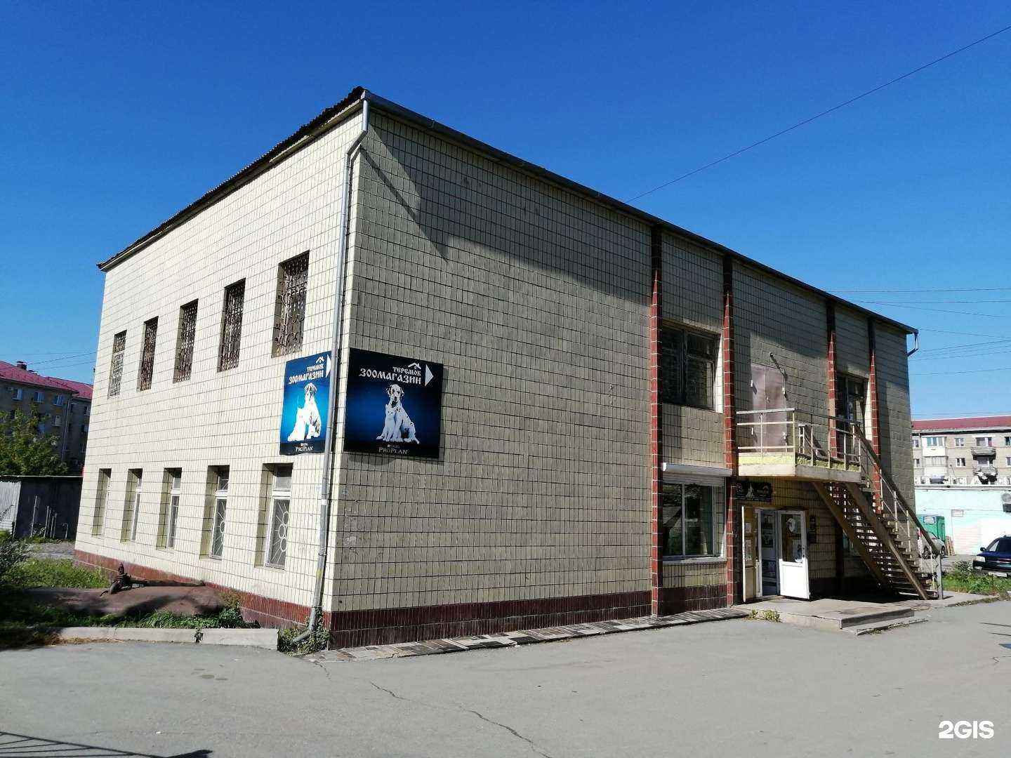 Отзывы на компанию Котопёс в Находке c фото - фотография 2 из 2