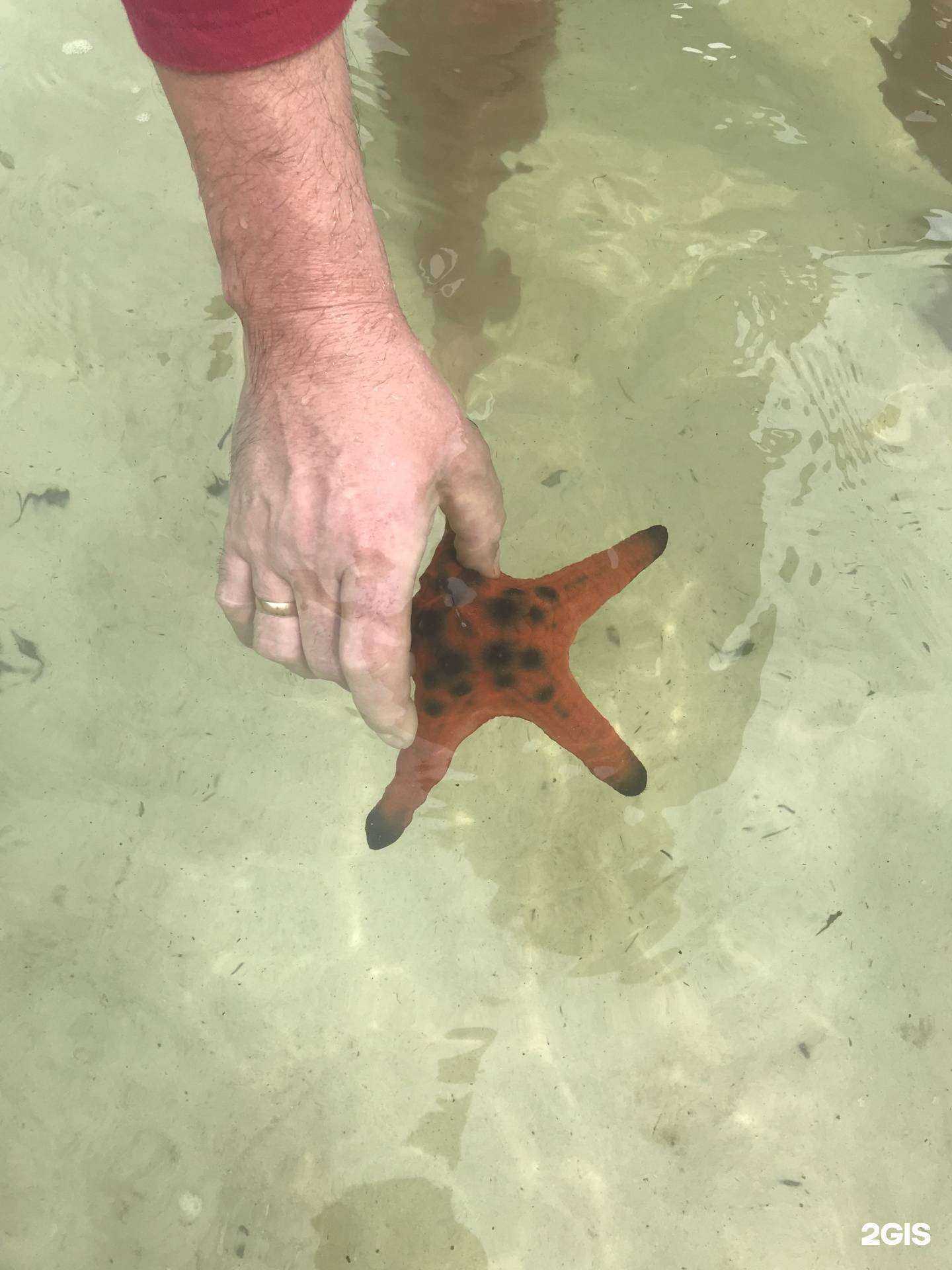 Отзывы на компанию Континент Тур в г. Верхняя Пышма c фото