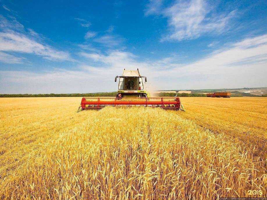 Отзывы на компанию Прикамская экспертиза в Набережных Челнах c фото