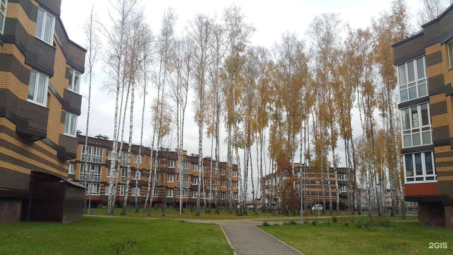 Отзывы на компанию Куфи в Коммунарке c фото - фотография 2 из 2