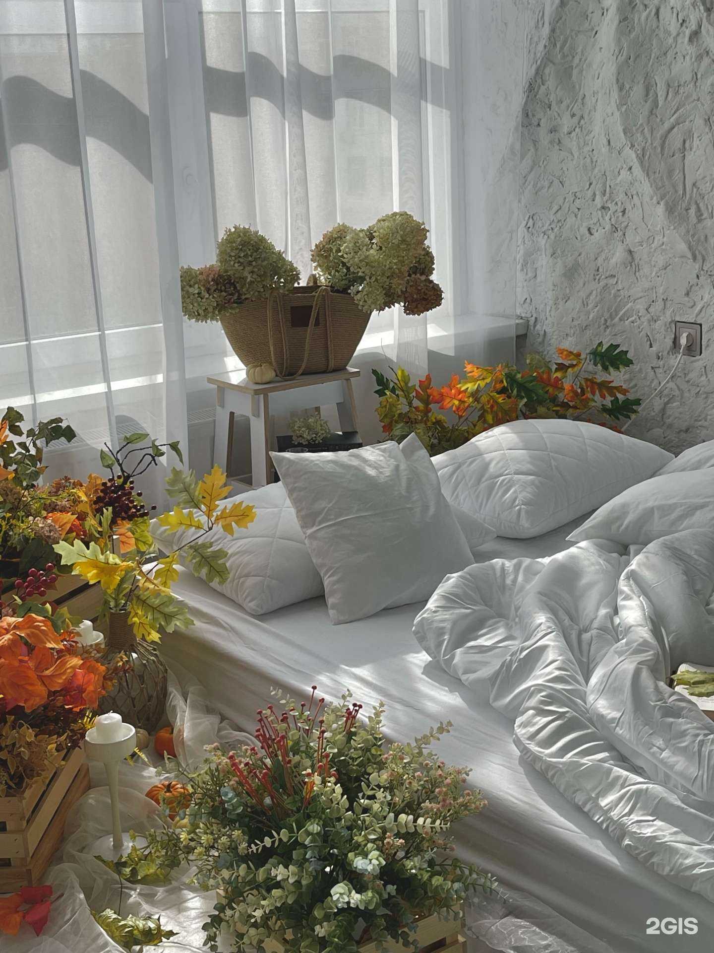 Отзывы на компанию Svetii.studio в Казани c фото