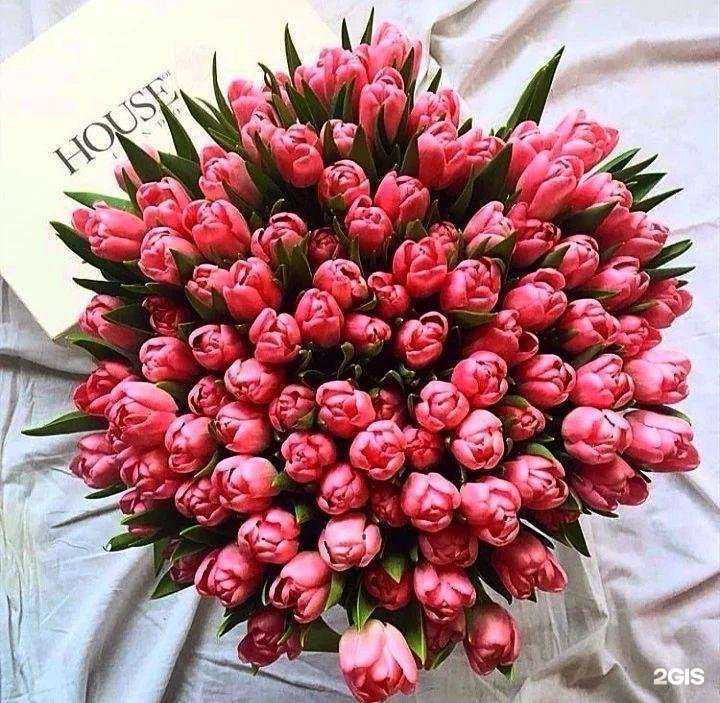 Отзывы на компанию The X club в г. Северодвинск c фото