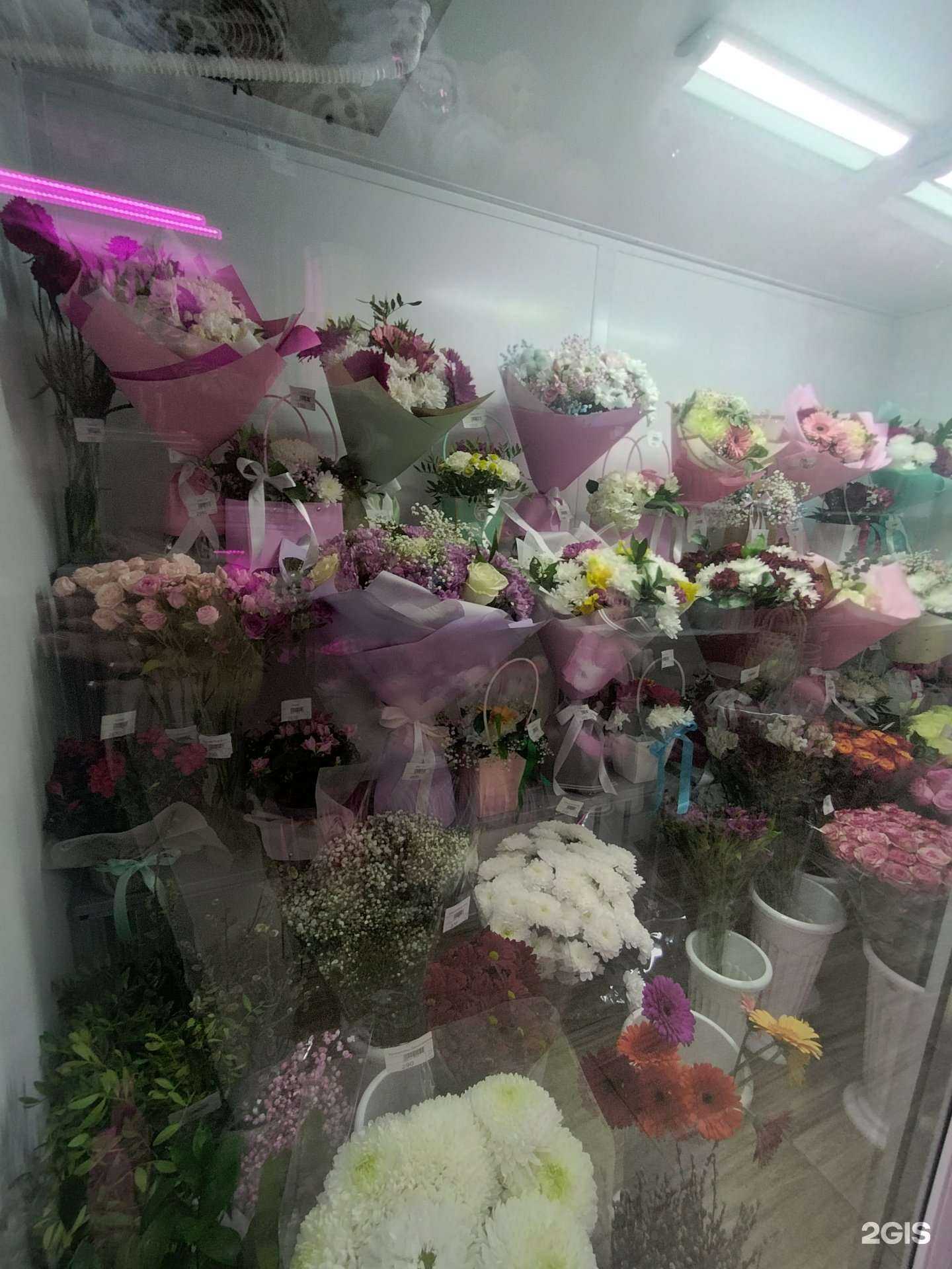 Отзывы на компанию Flower Picture в г. Балашиха c фото