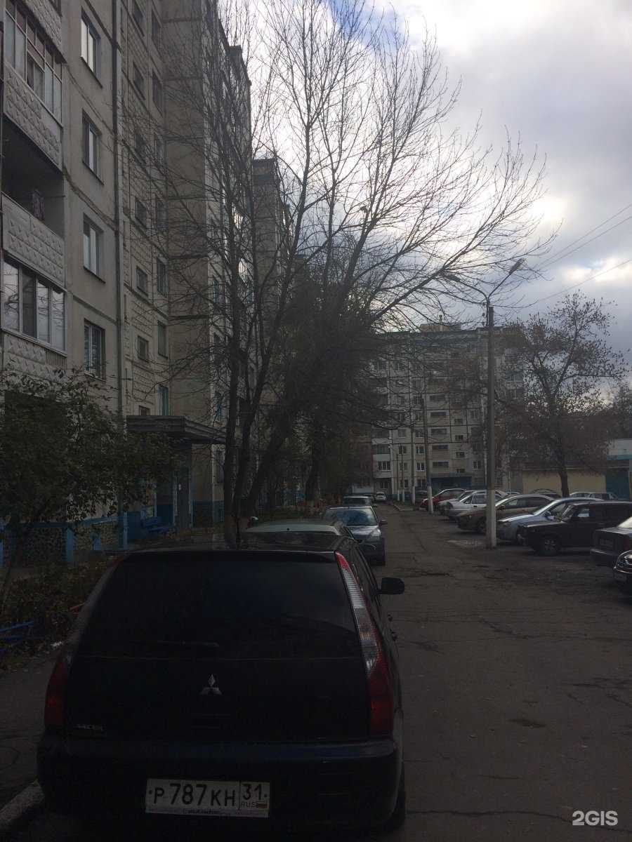 Отзывы на компанию Аптека плюс в Белгороде c фото - фотография 2 из 2