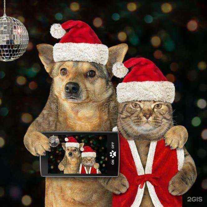 Отзывы на компанию Томас в Астрахани c фото