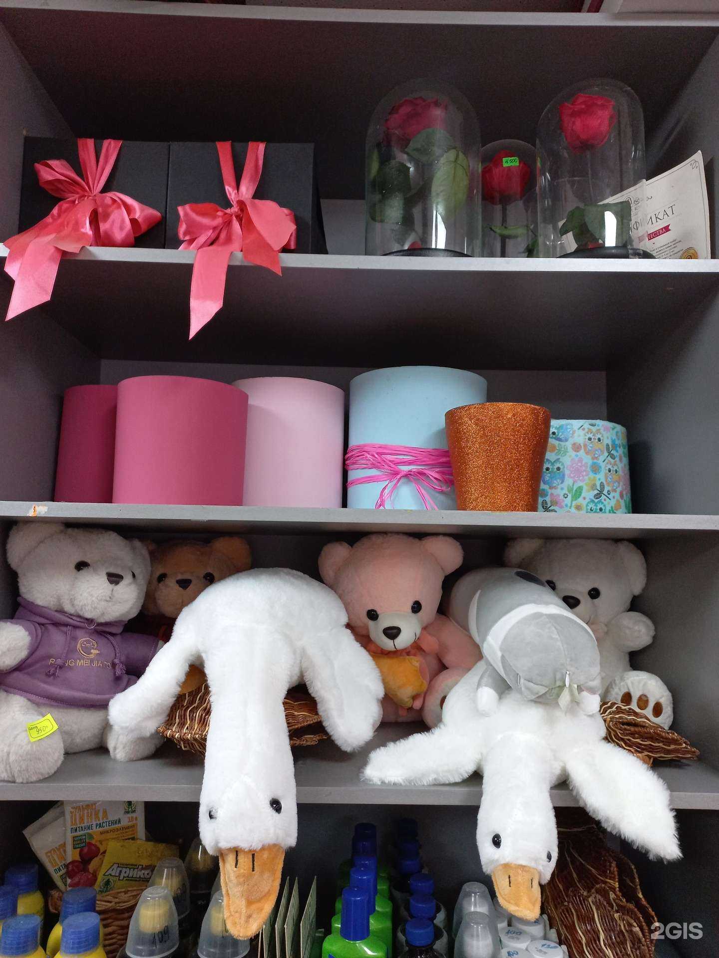 Отзывы на компанию Diamond Flowers в Тольятти c фото