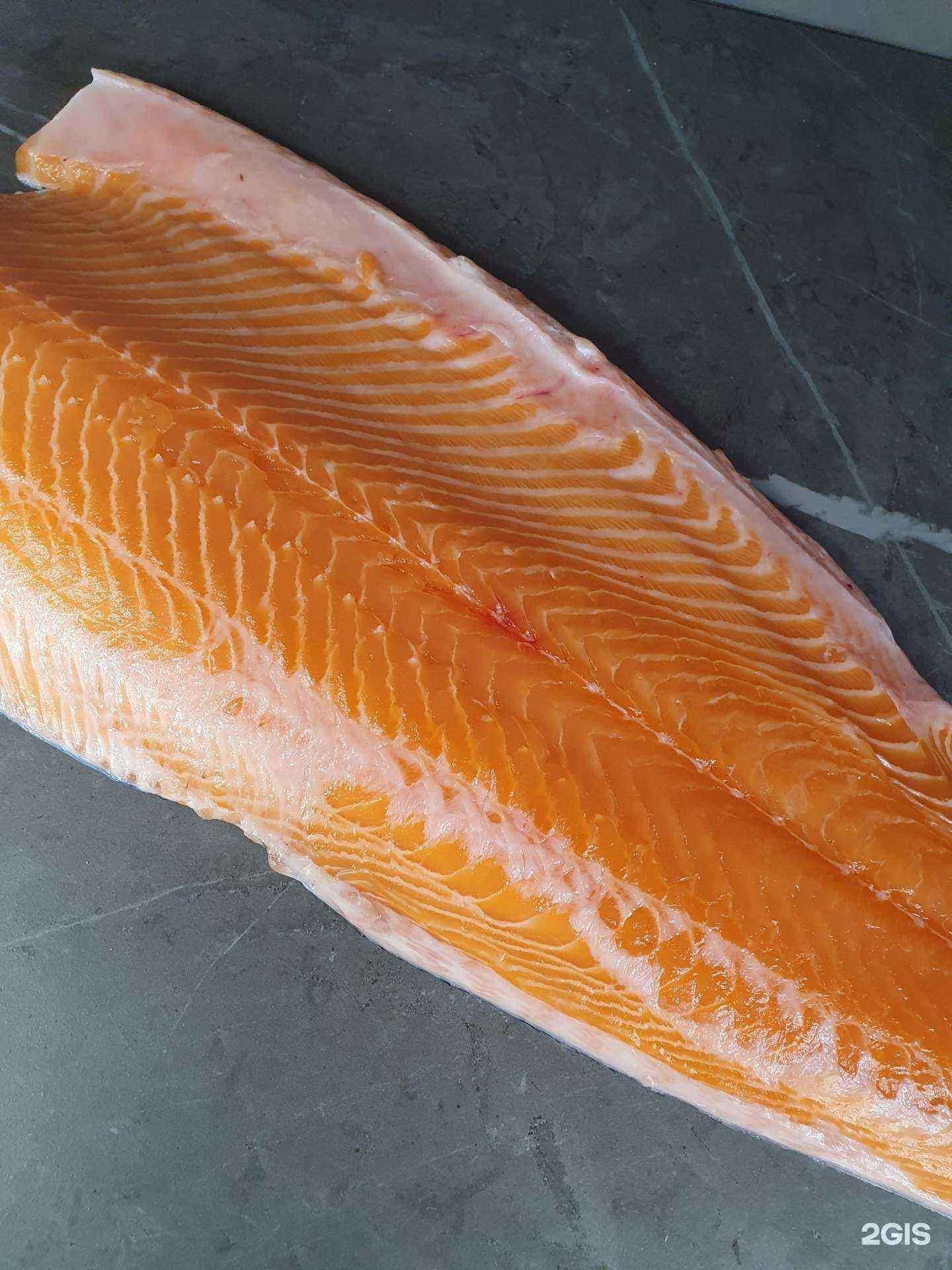 Отзывы на компанию Red fish в г. Краснодар c фото