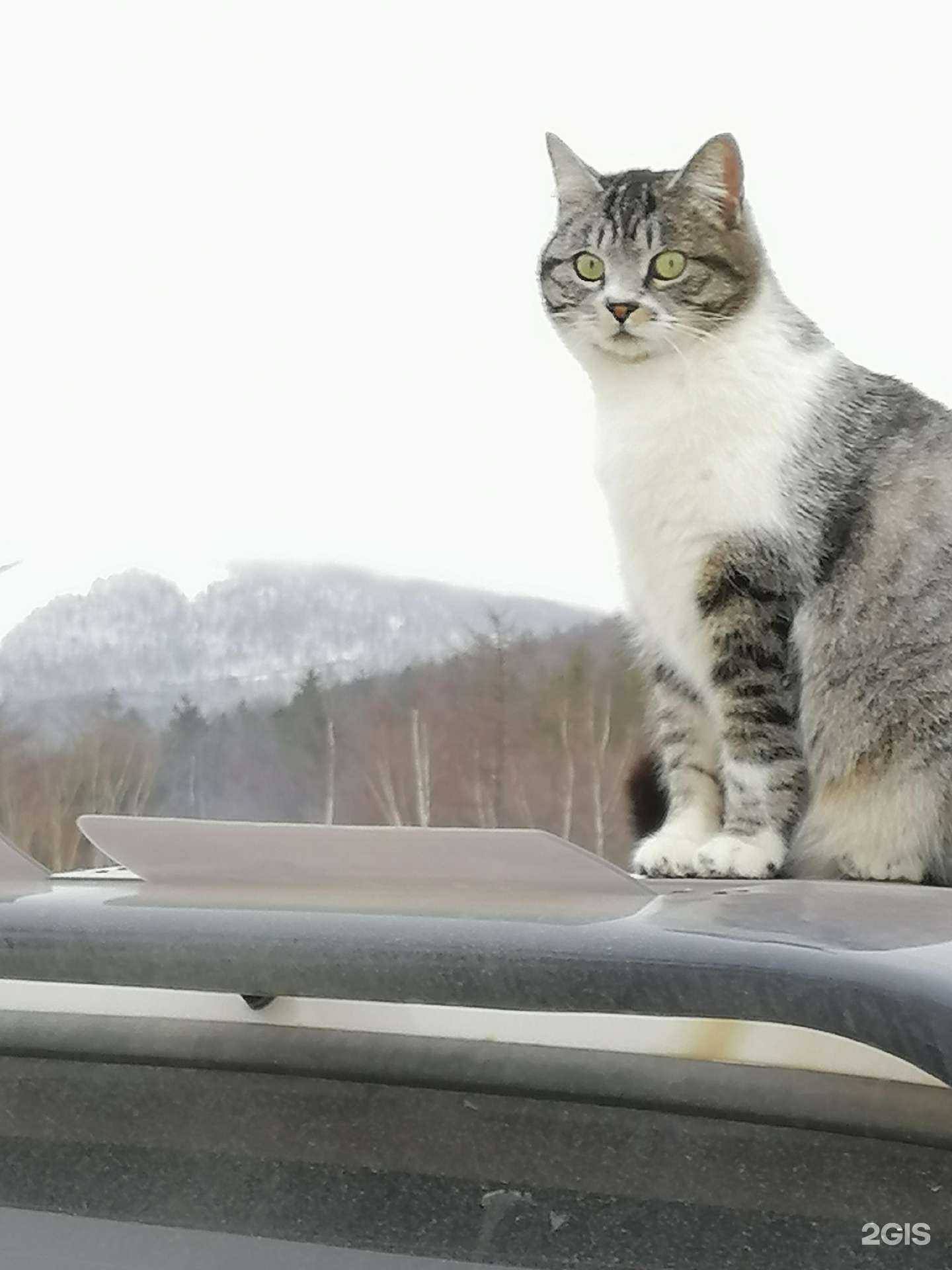 Отзывы на компанию Глаз беркута в г. Южно-Сахалинск c фото