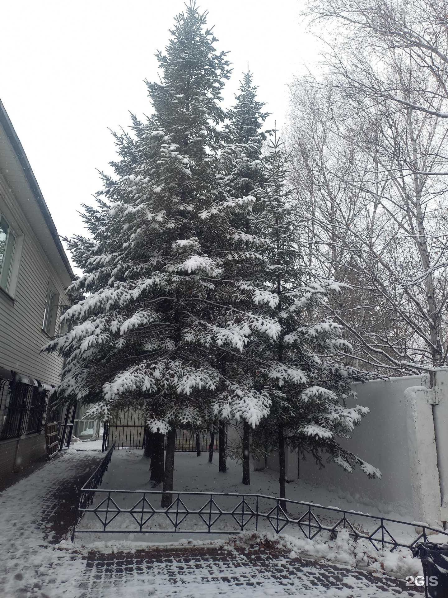 Отзывы на компанию ДВСепт в Хабаровске c фото - фотография 2 из 2