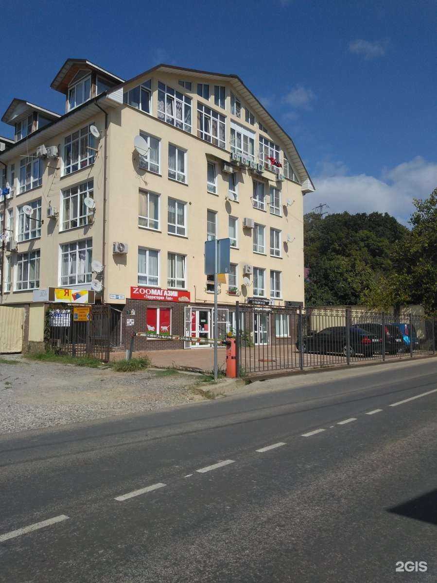 Отзывы на компанию Айболит в Сочи c фото - фотография 2 из 2