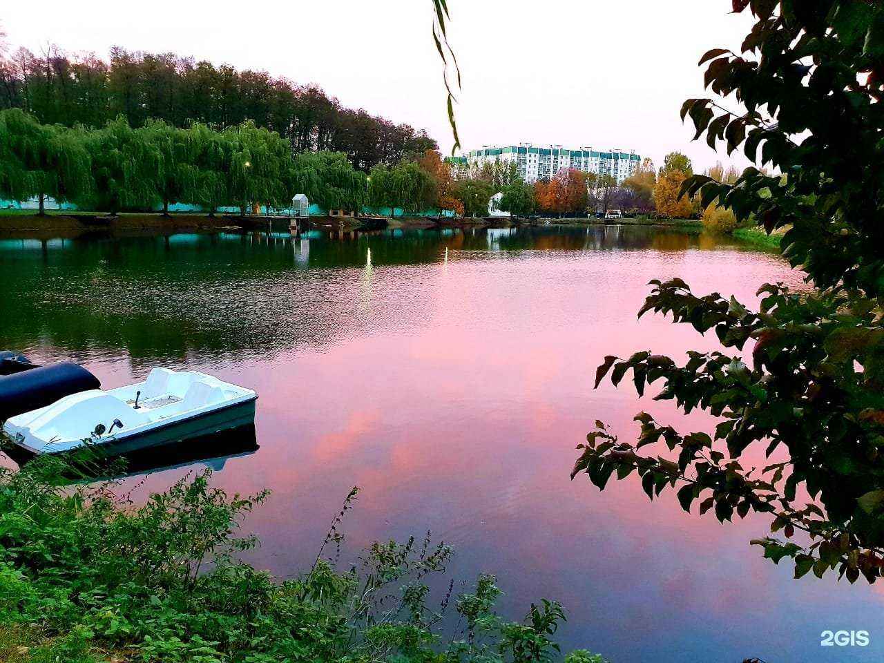 Отзывы на компанию Makardi в Воронеже c фото