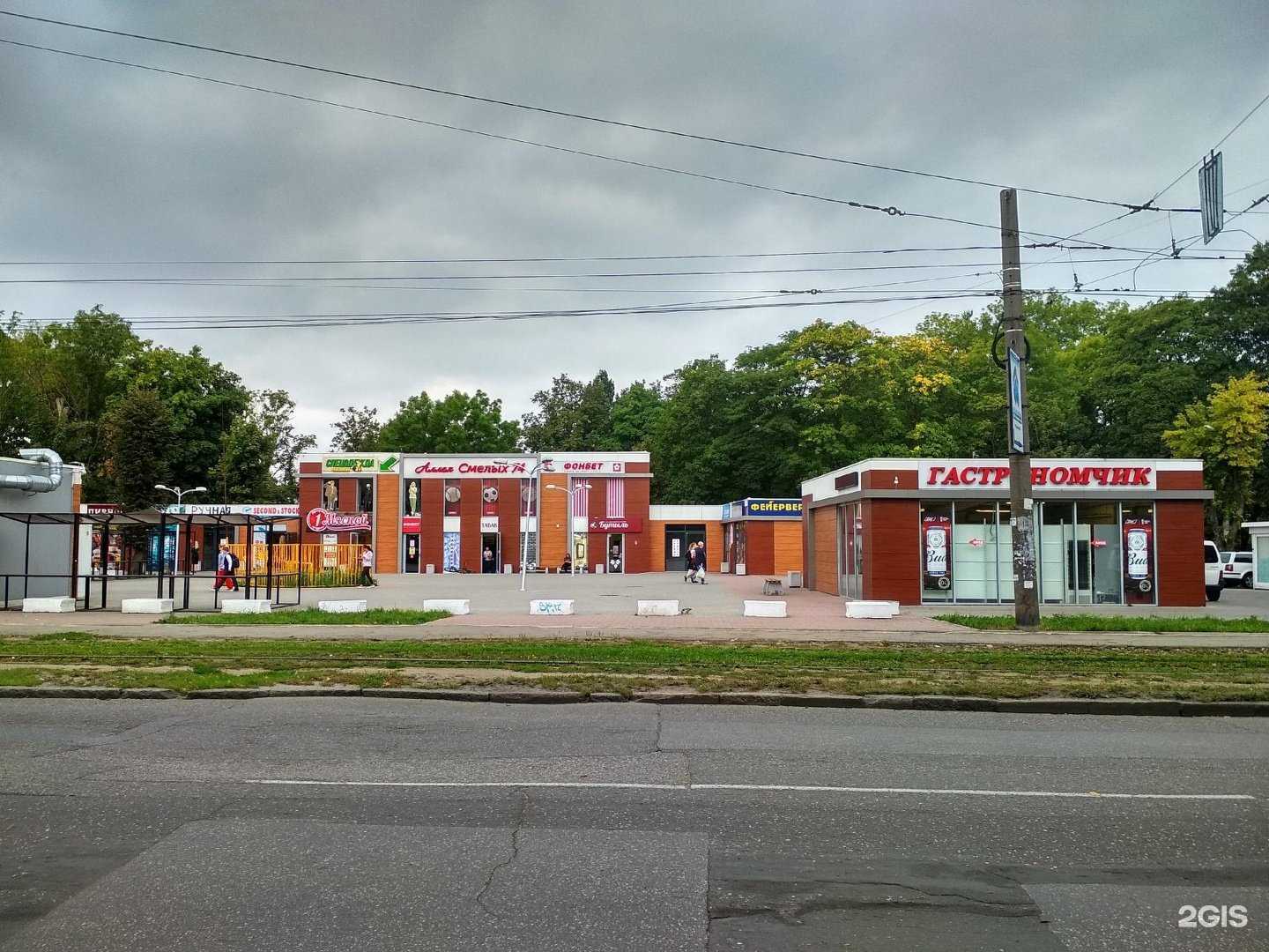 Отзывы на компанию Тунец в Калининграде c фото - фотография 2 из 2