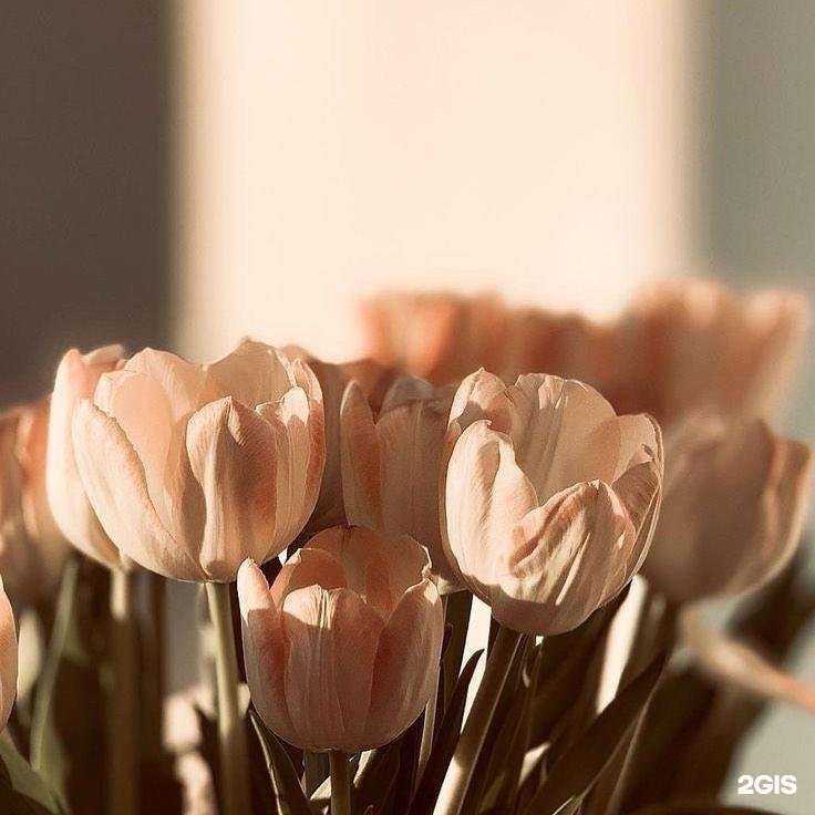 Отзывы на компанию Vosk в г. Ростов-на-Дону c фото