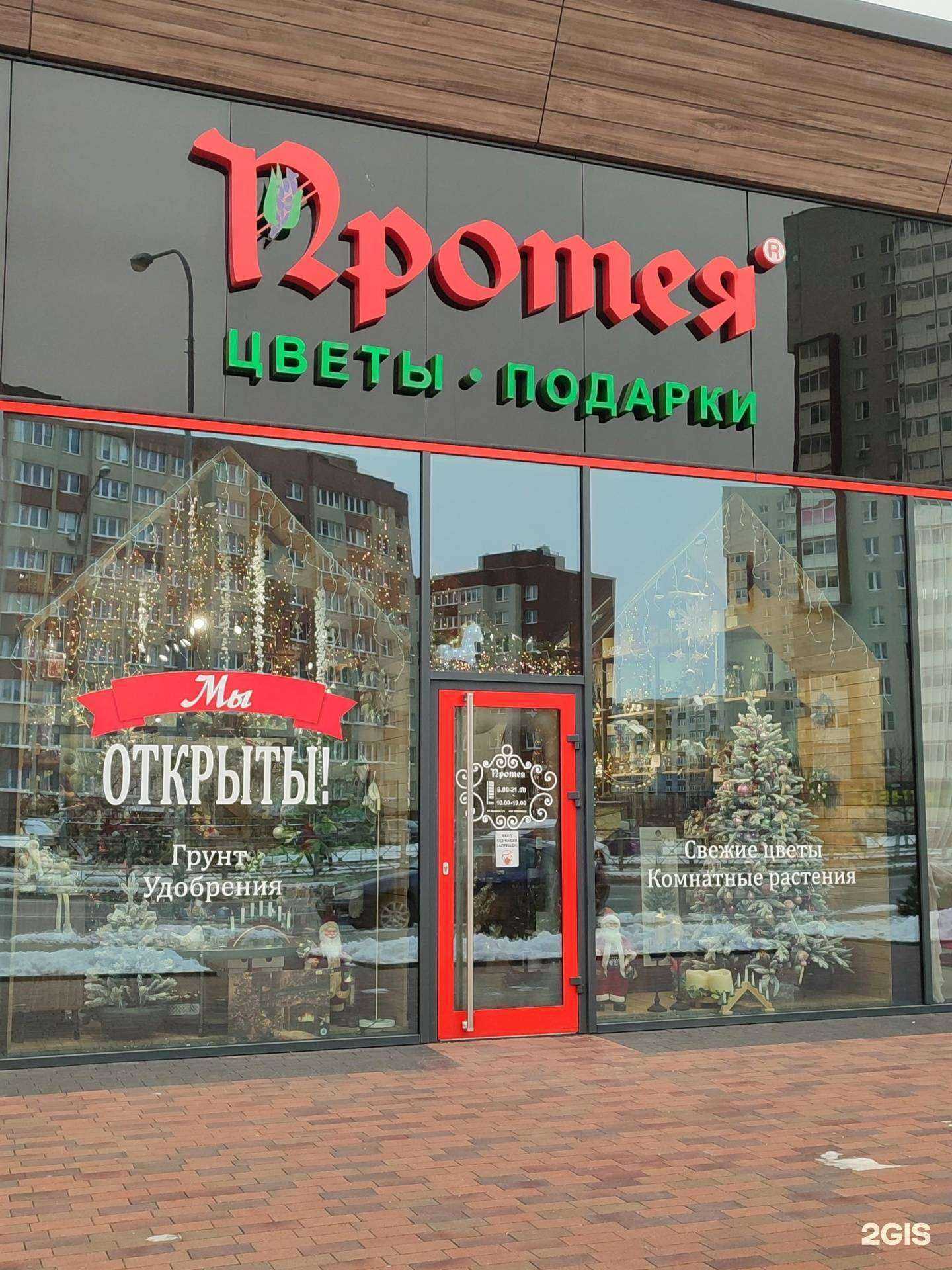 Отзывы на компанию Протея в Калининграде c фото