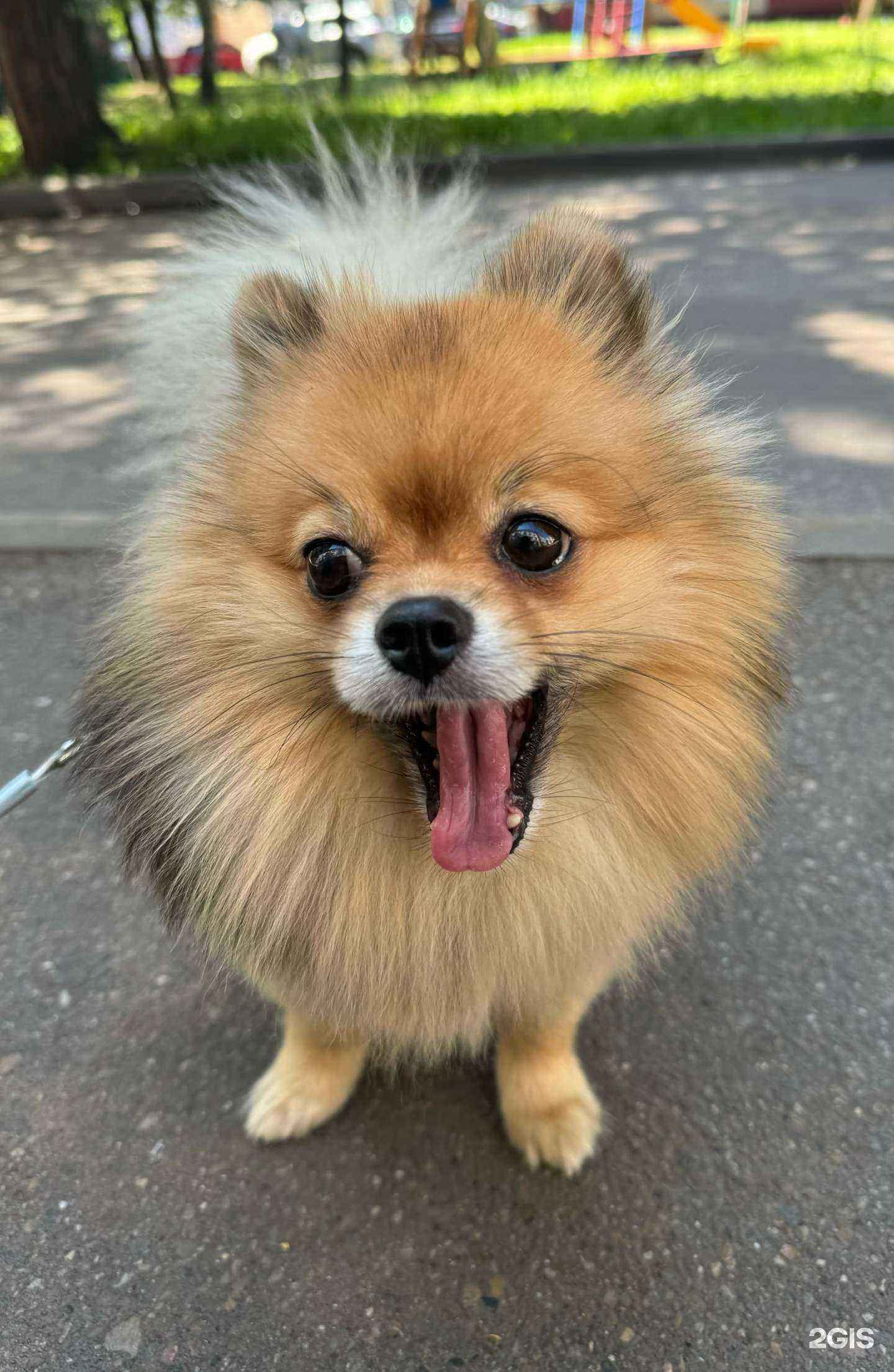 Отзывы на компанию Добрый доктор в Нижнекамске c фото