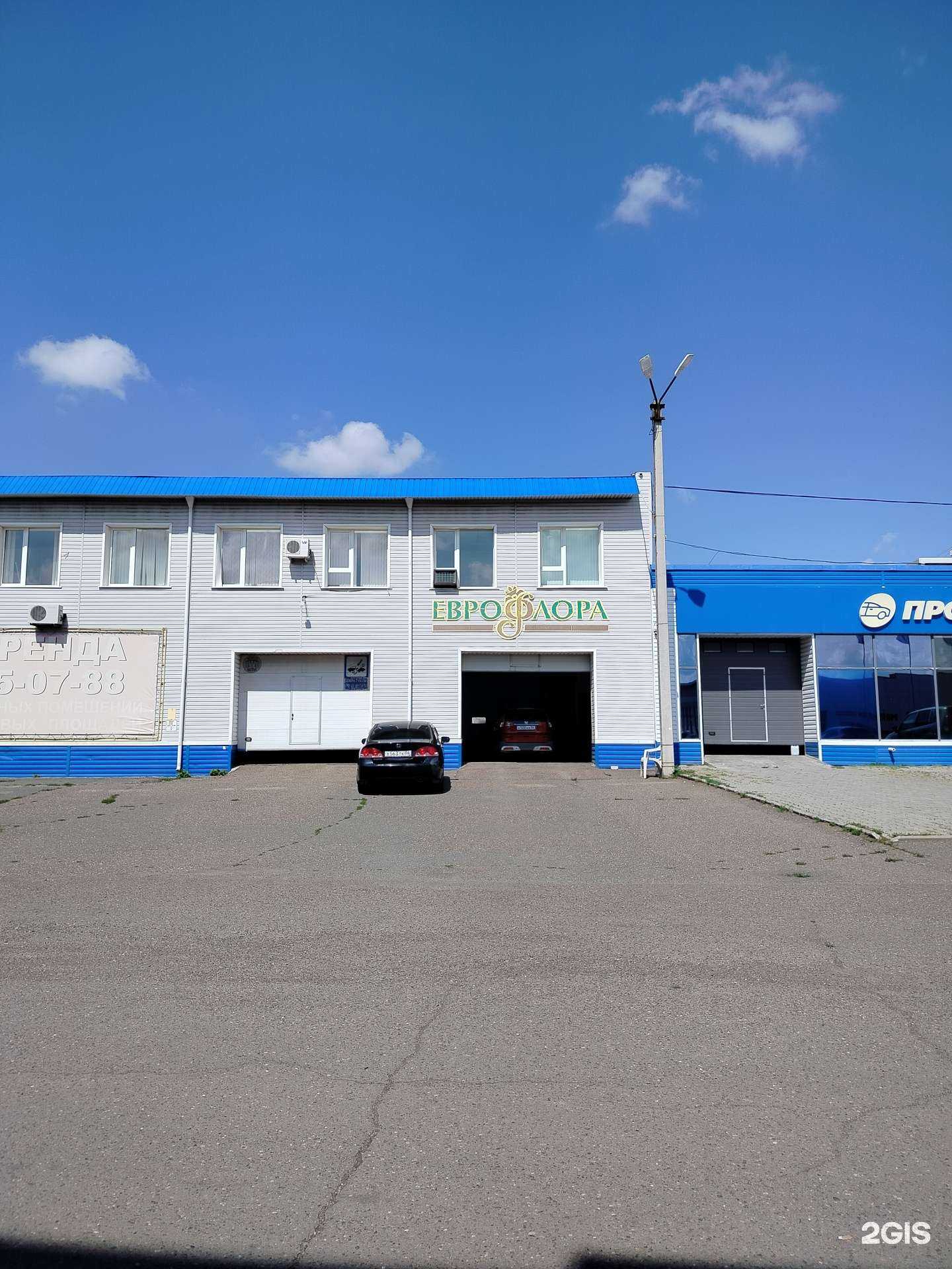 Отзывы на компанию ЕвроФлора в Оренбурге c фото