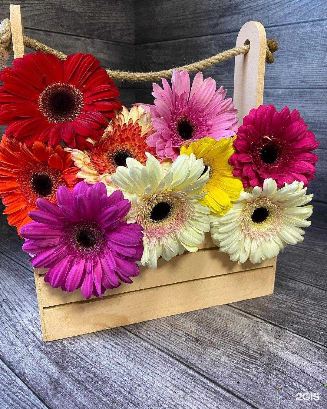 Отзывы на компанию lotos64.ru в Энгельсе c фото