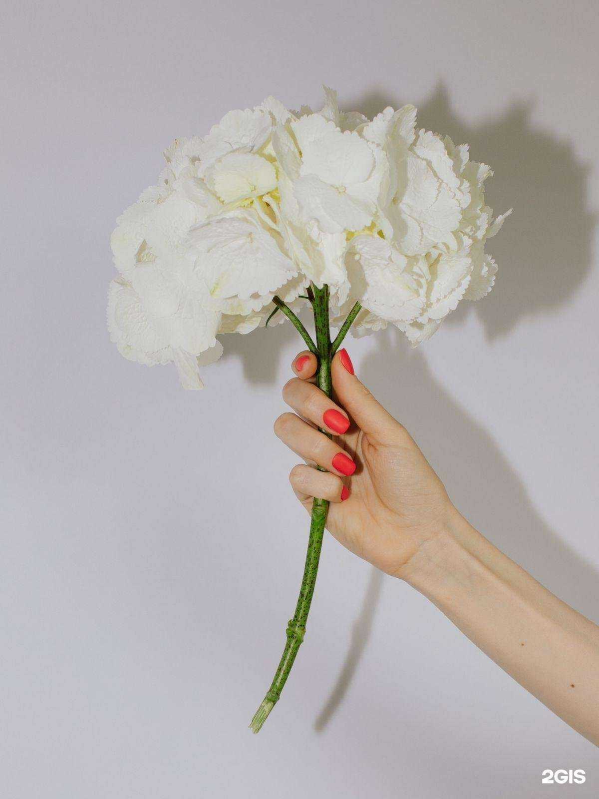 Отзывы на компанию So Sasha в Волгограде c фото