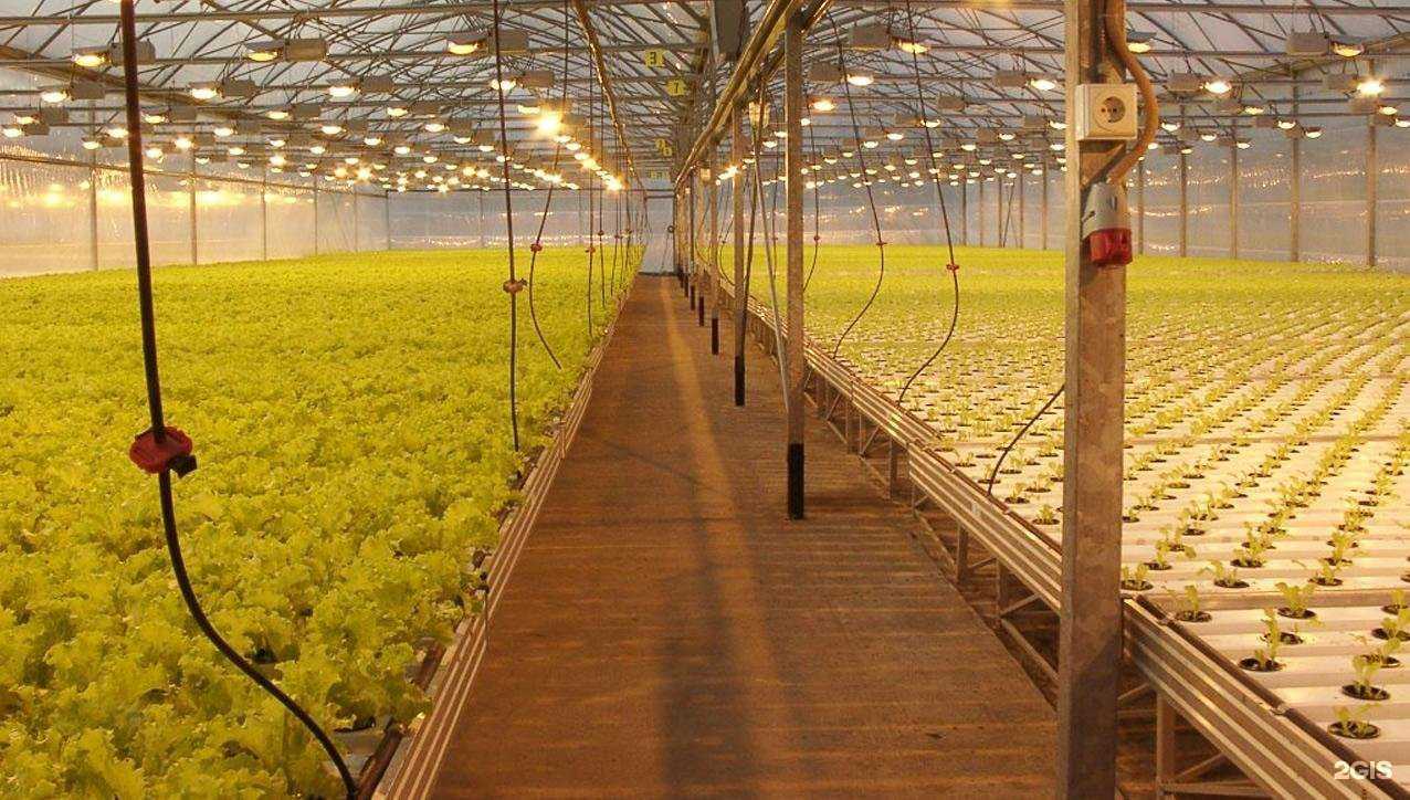 Отзывы на компанию Grand Line в г. Ярцево c фото