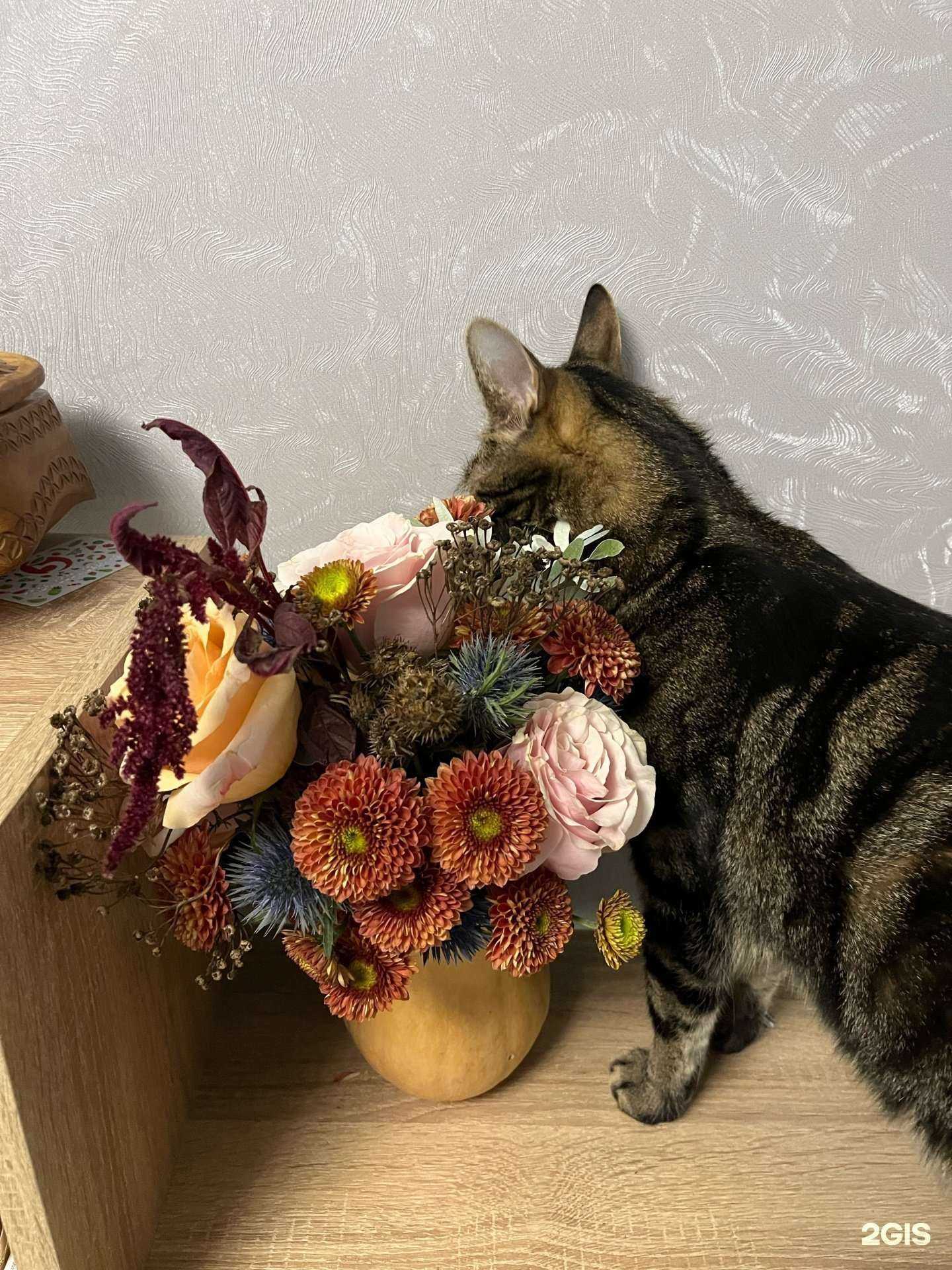 Отзывы на компанию 0612 в г. Архангельск c фото