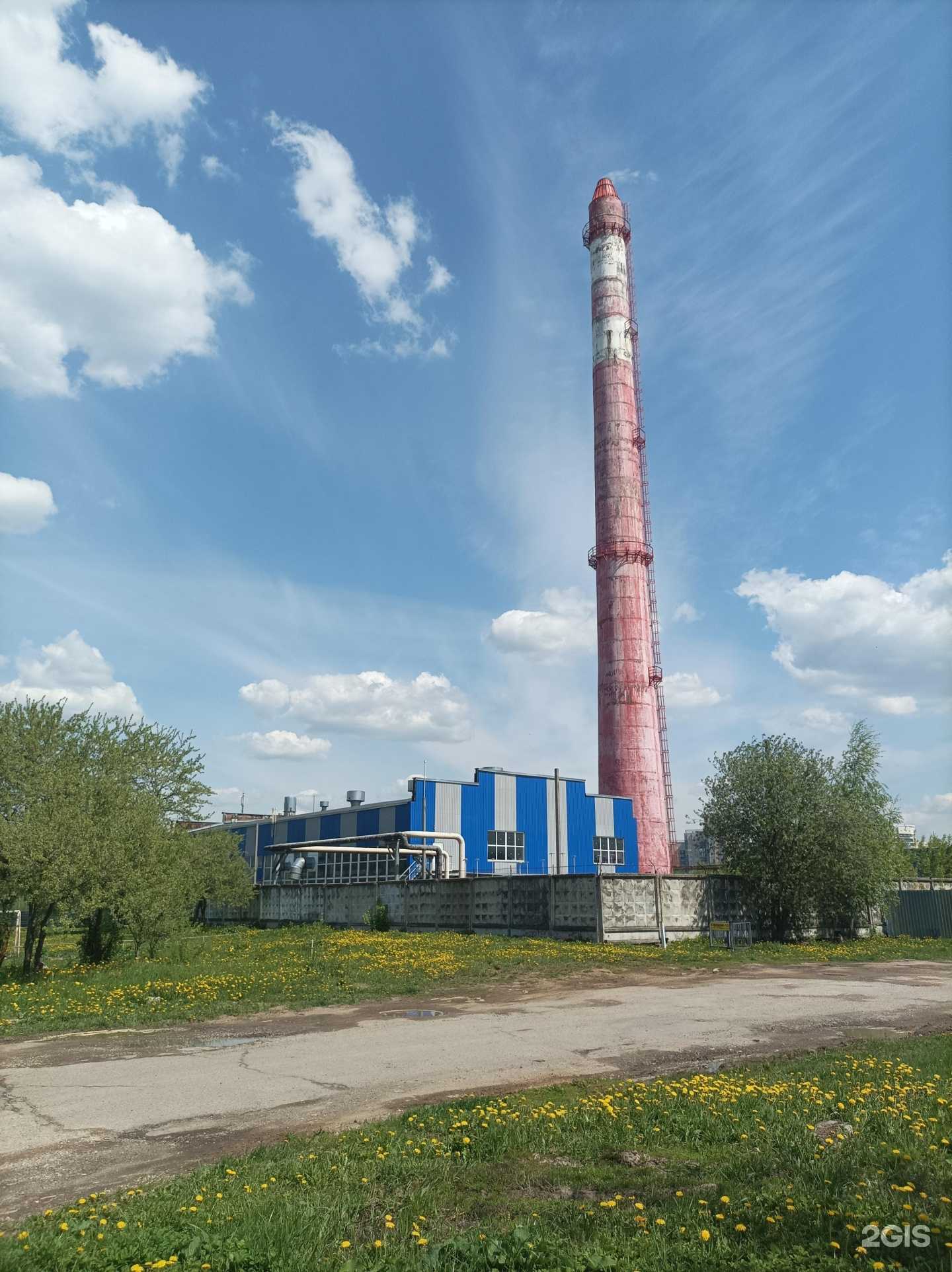 Отзывы на компанию Бадди в Подольске c фото