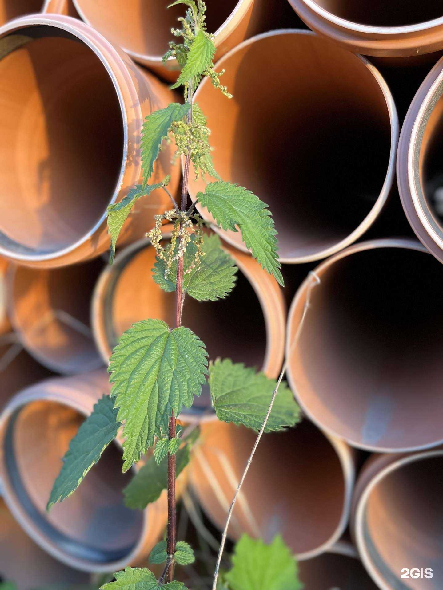 Отзывы на компанию Полимеркомфорт в Тольятти c фото