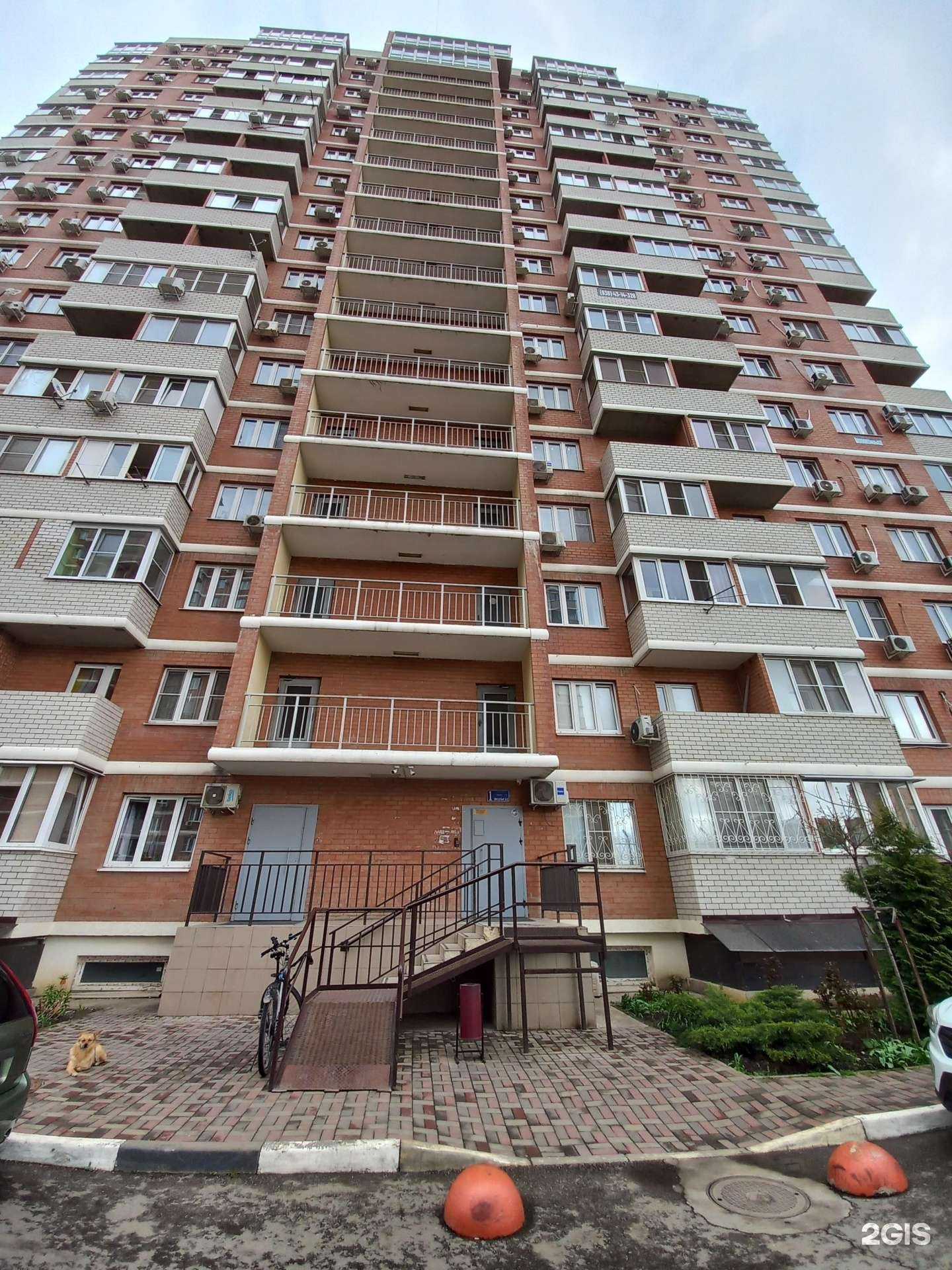 Отзывы на компанию Silk Way Krasnodar в Краснодаре c фото - фотография 2 из 2