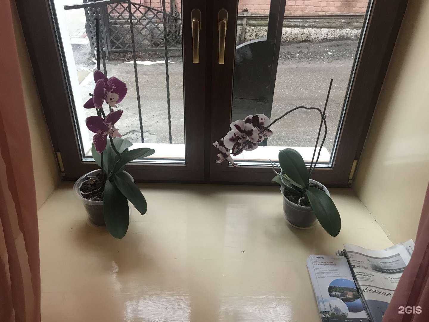 Отзывы на компанию Снегири в Елеце c фото