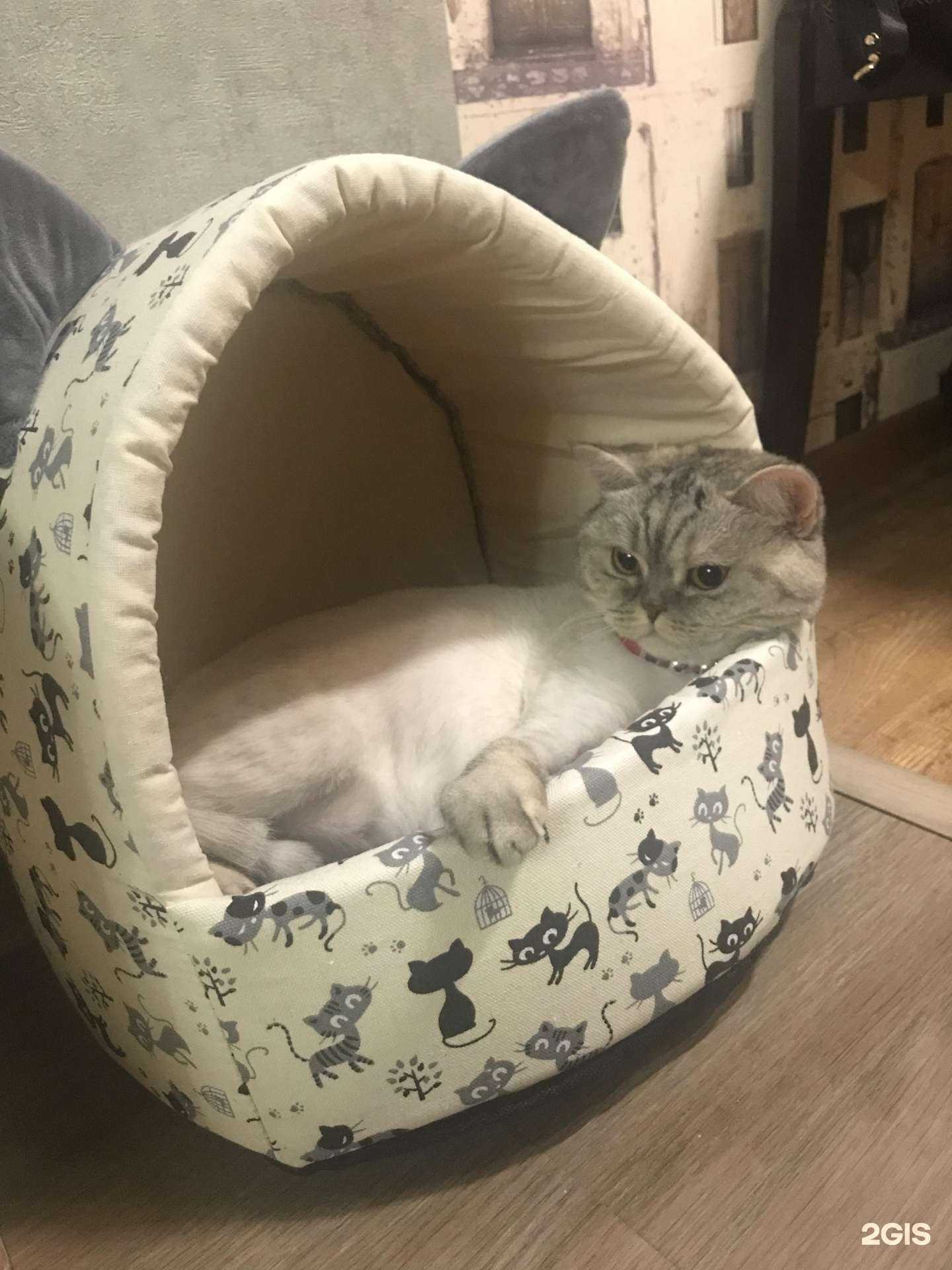 Отзывы на компанию Ветленд в г. Уфа c фото