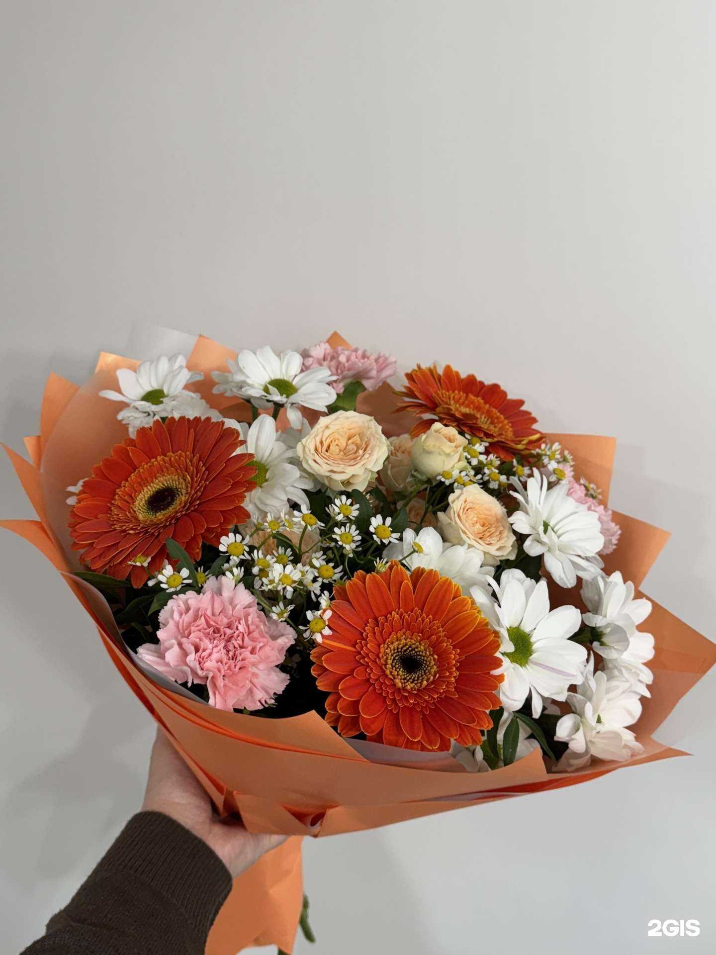 Отзывы на компанию Lotos в Новочебоксарске c фото