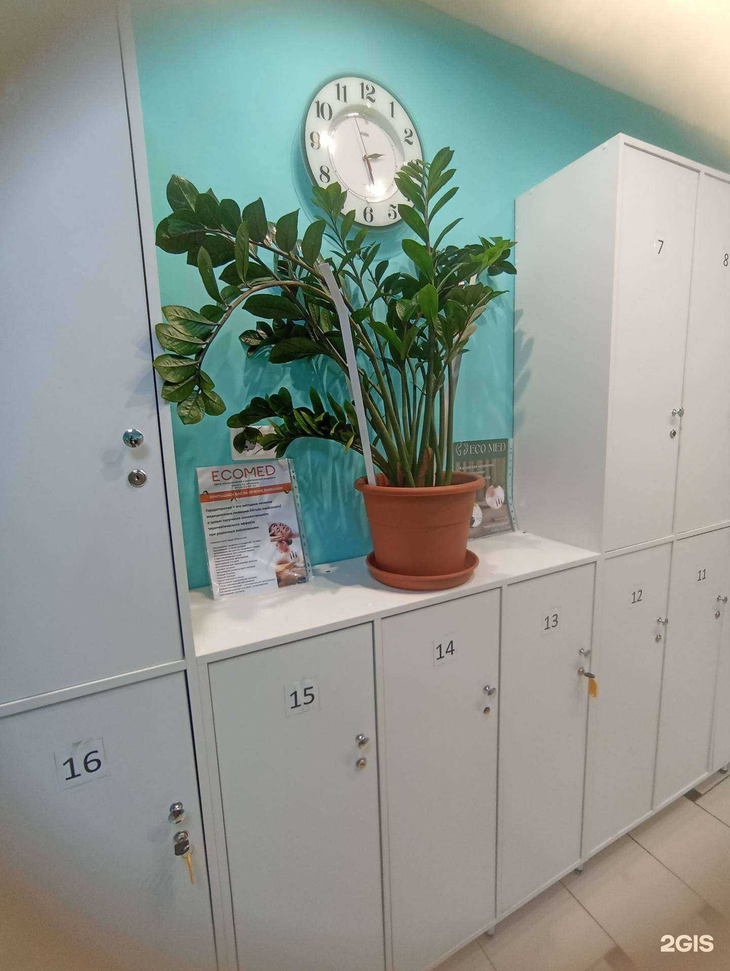 Отзывы на компанию Лотос в г. Якутск c фото